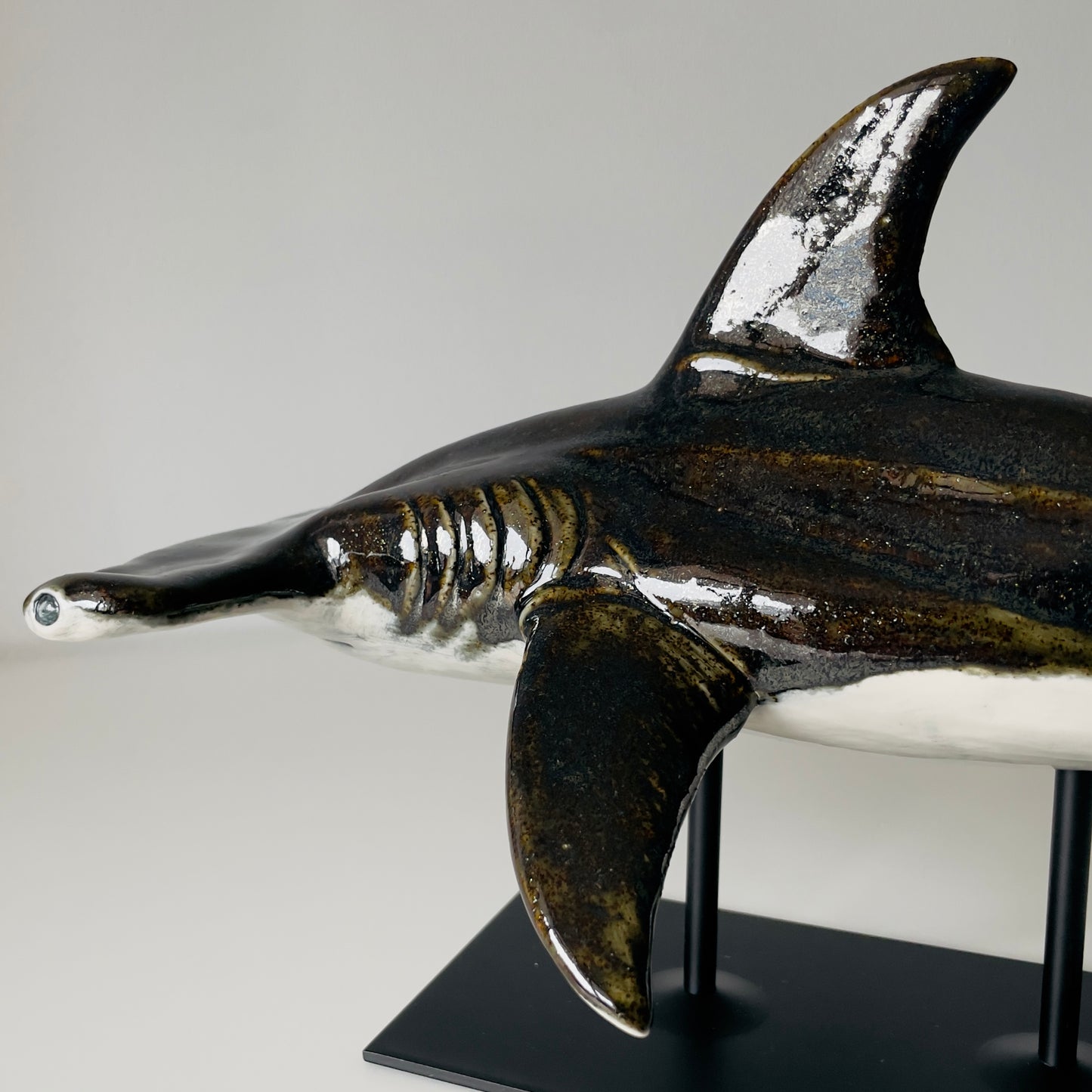 Hammerhead Shark