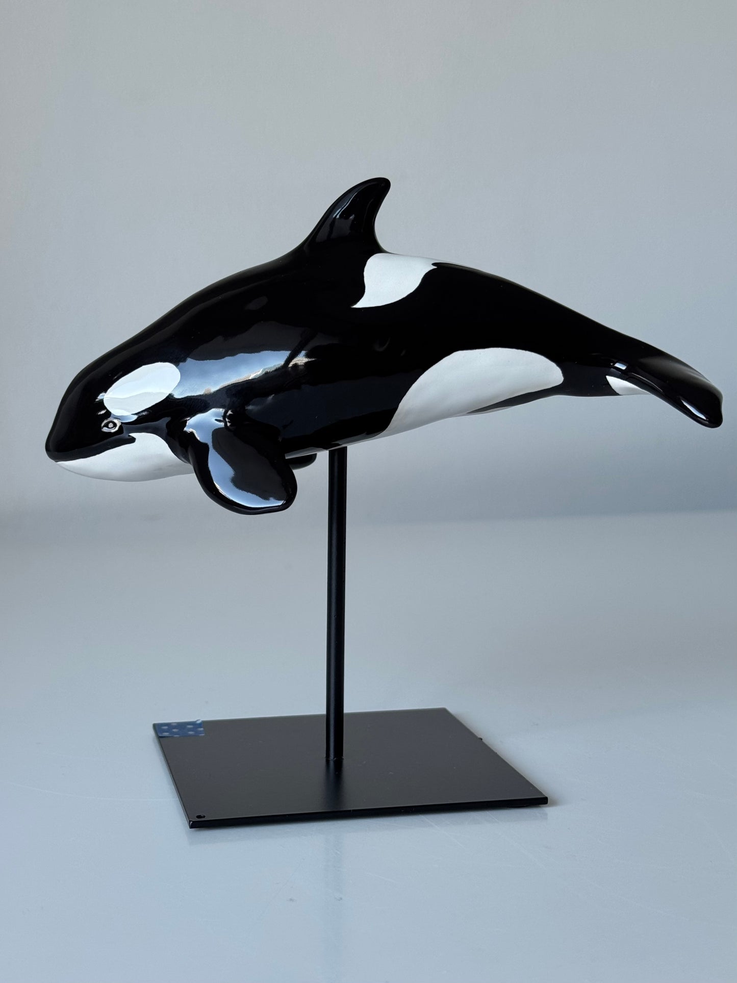 Baby Orca