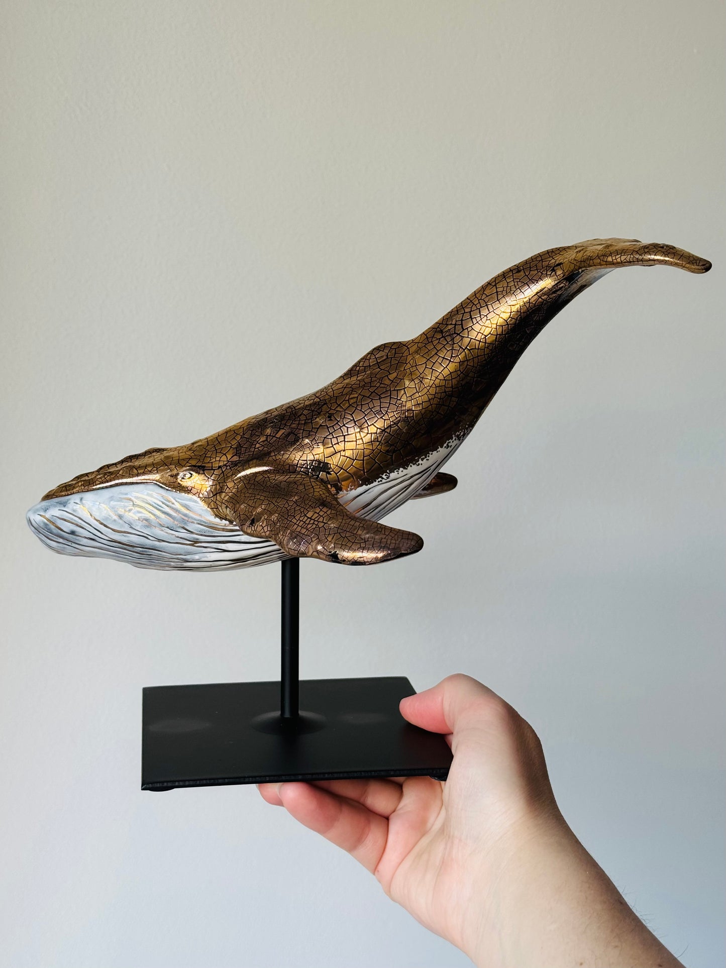 Humpback Whale
