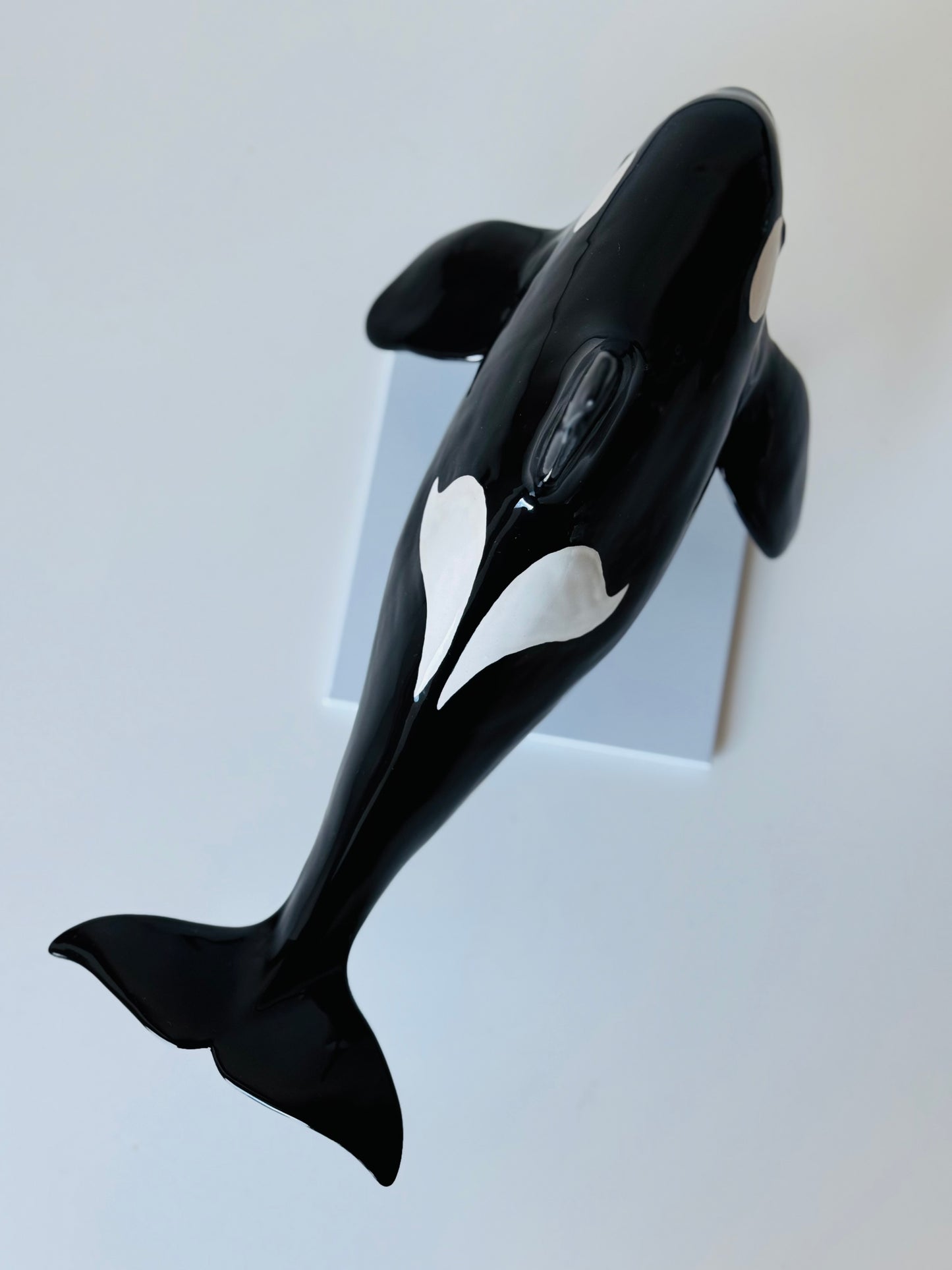 Male Orca on a stand