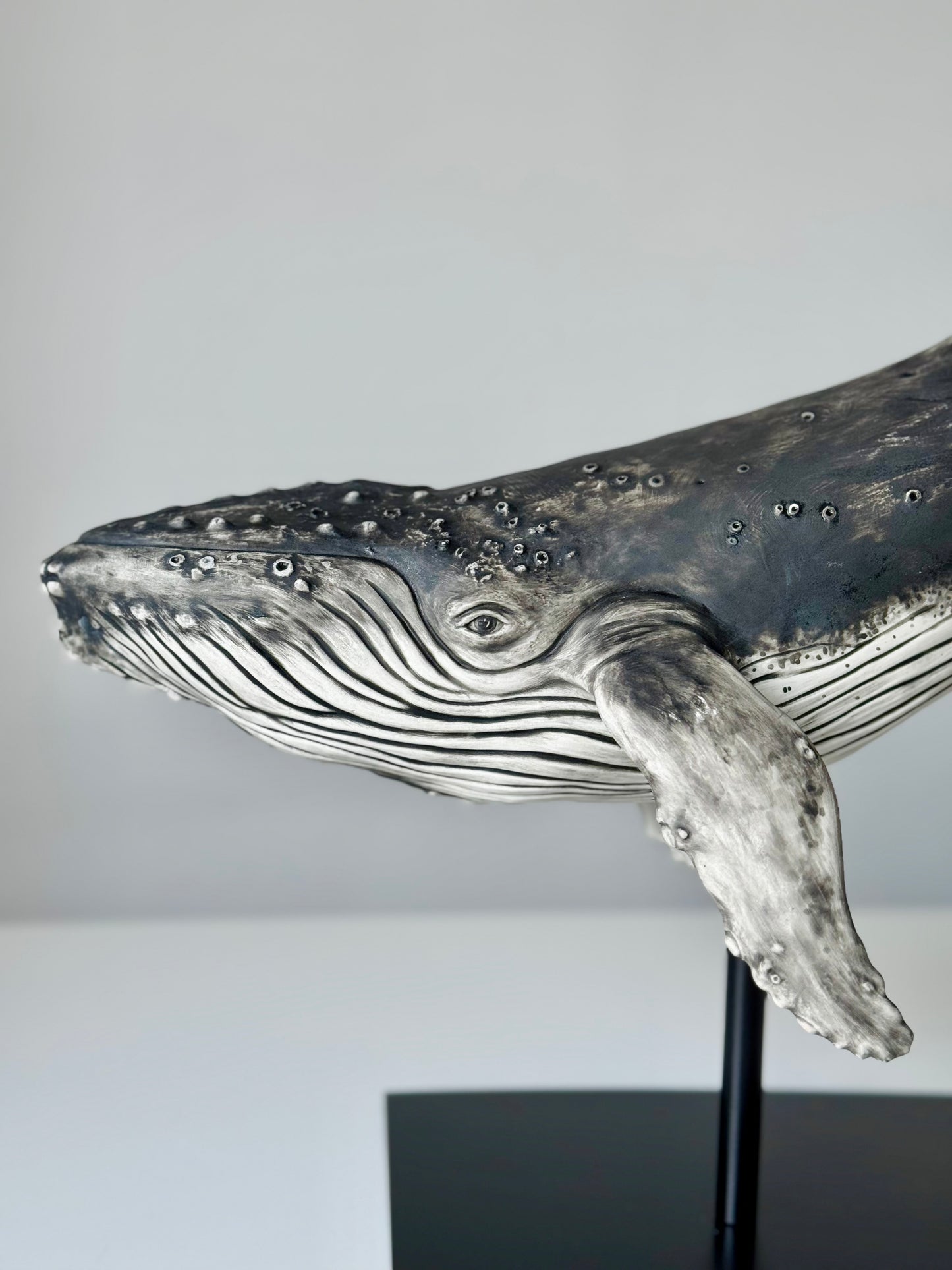 Big Humpback Whale