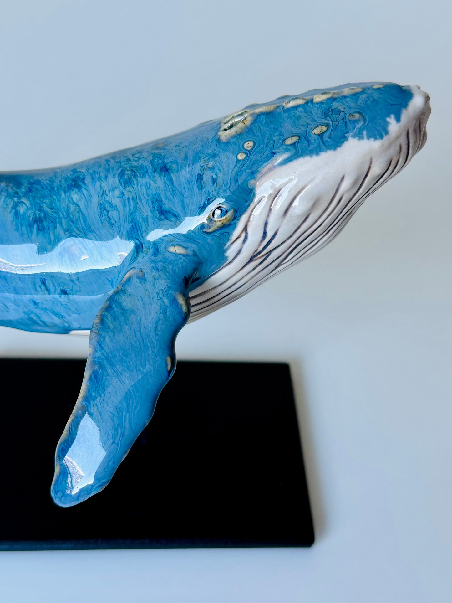 Baby Humpback Whale