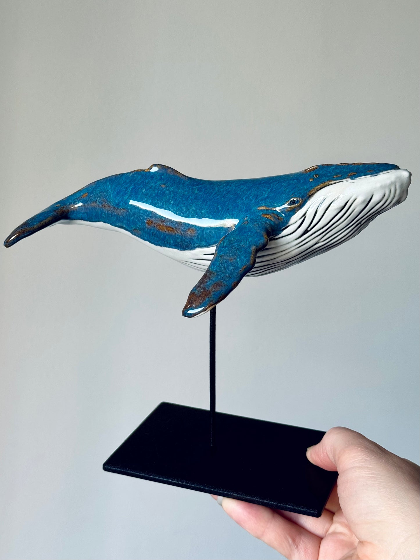 Baby Humpback Whale