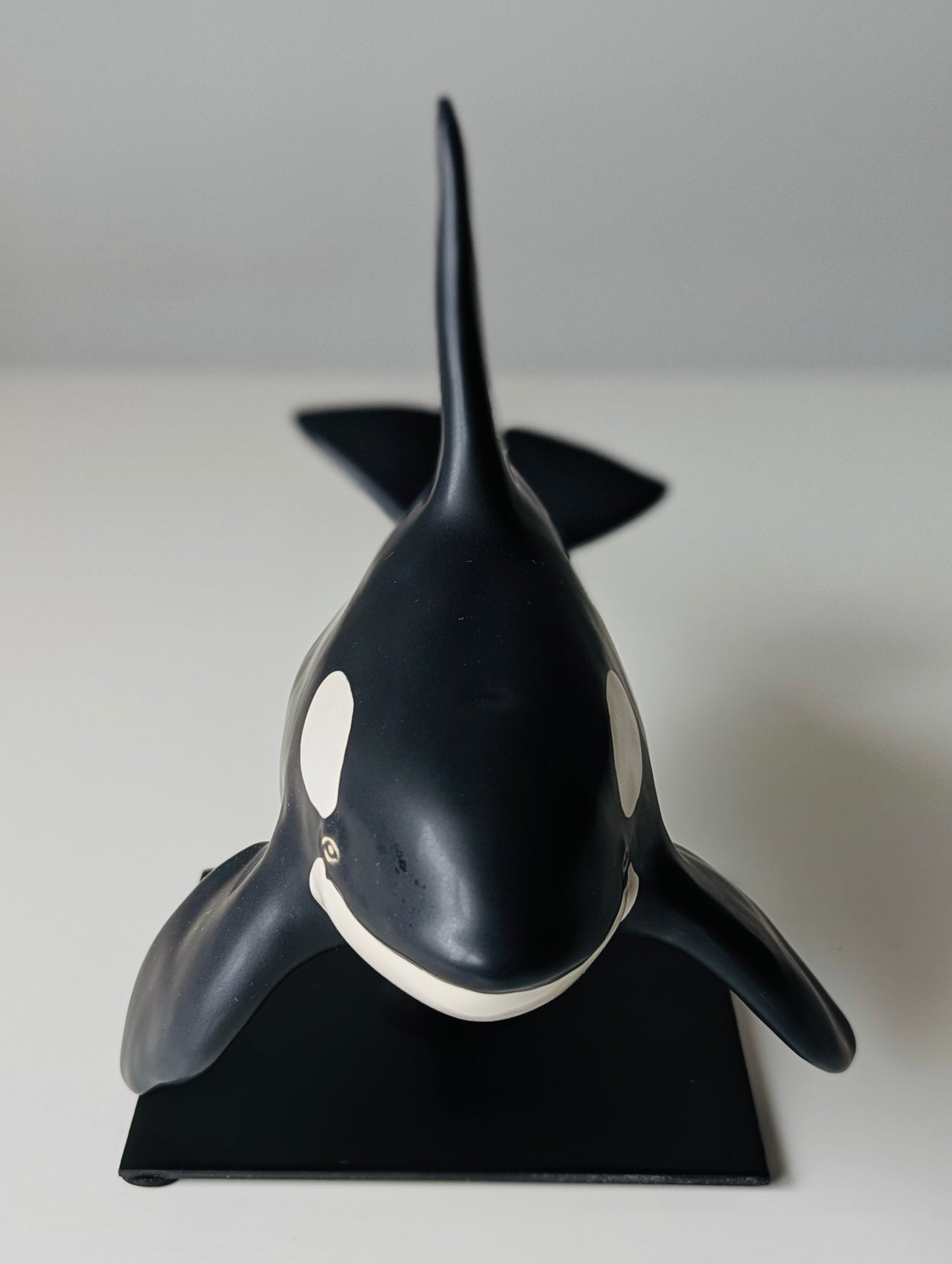 Male Orca on a stand