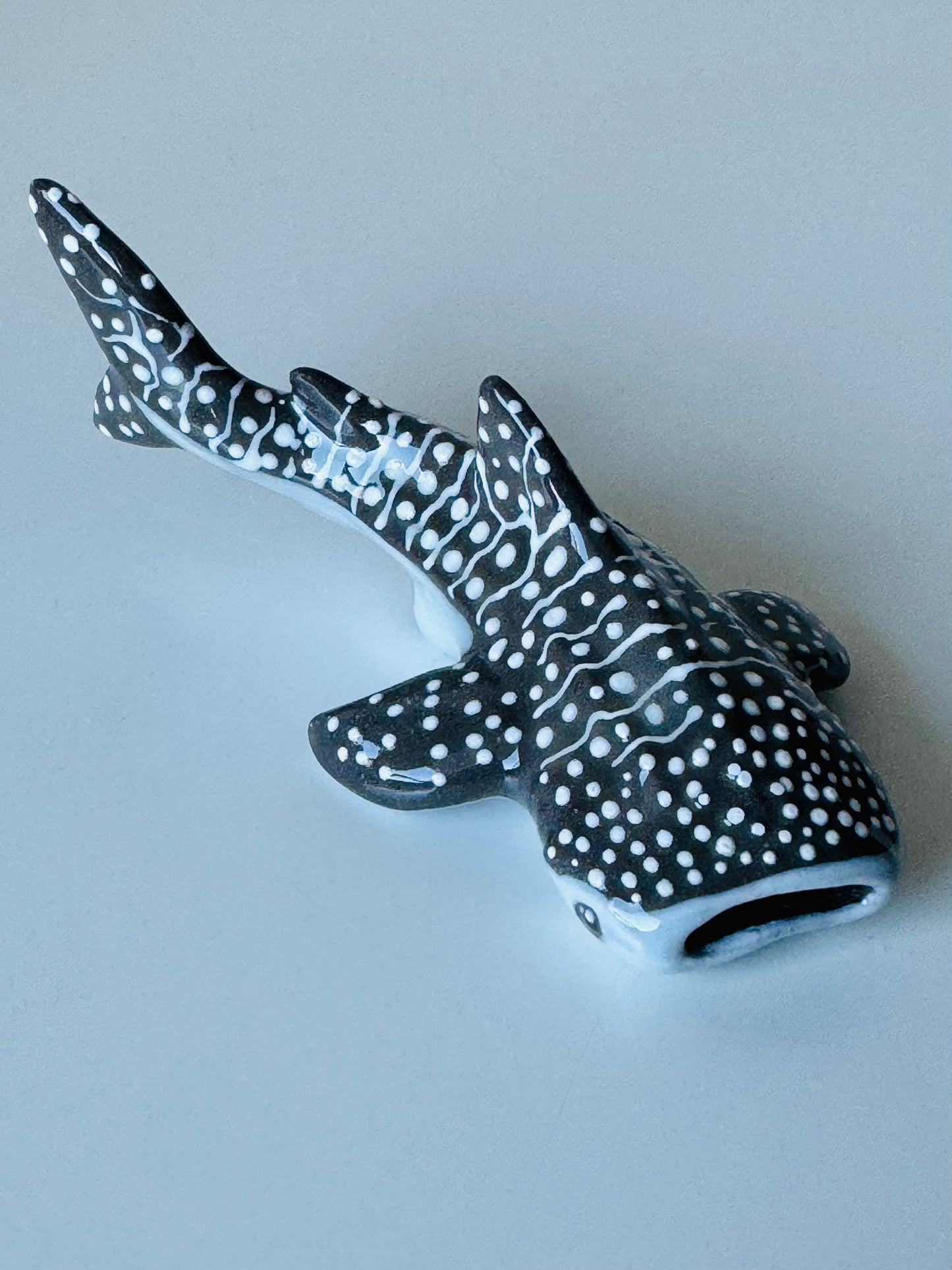 Baby Whale Shark