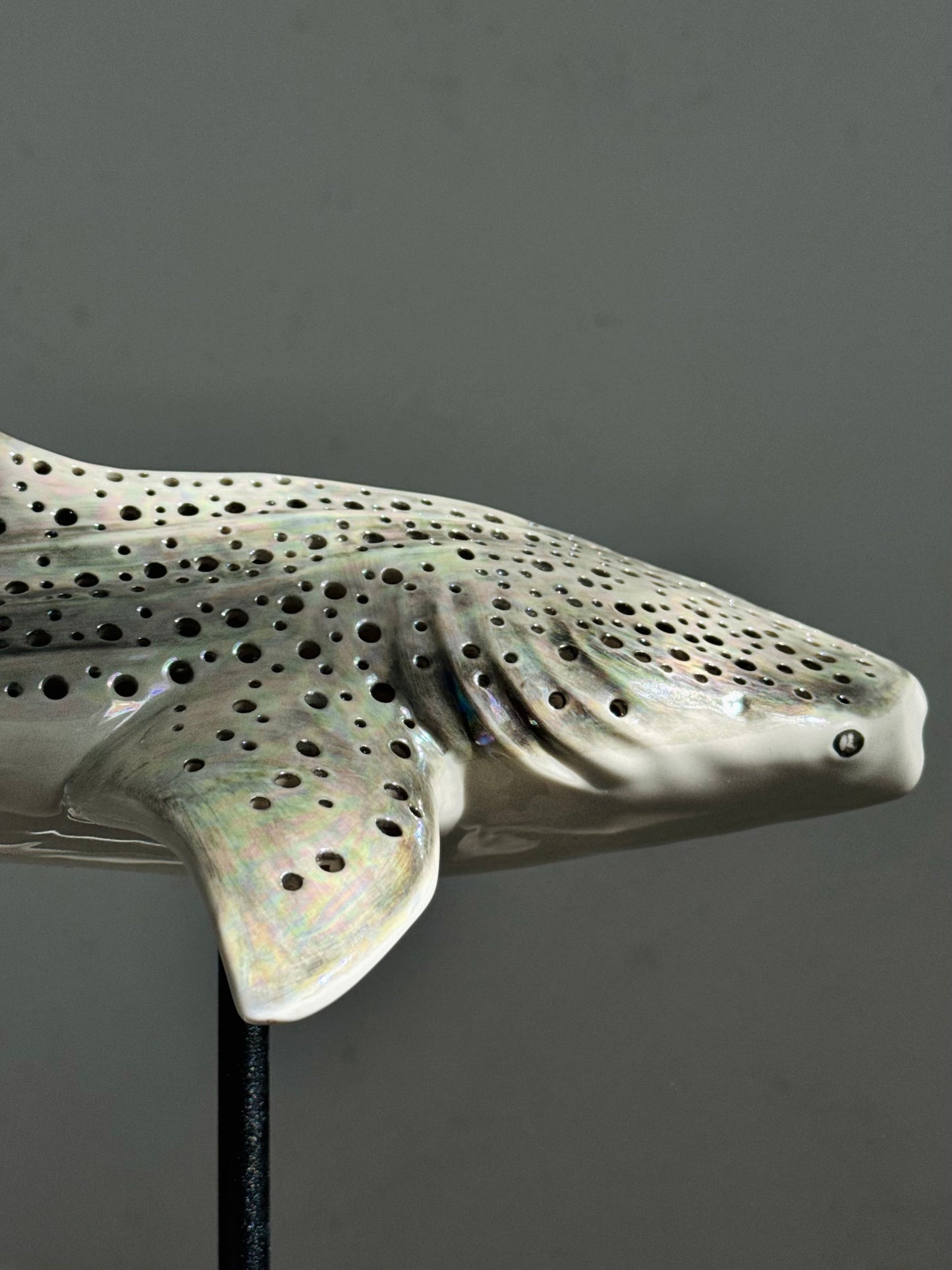 Whale Shark Lamp