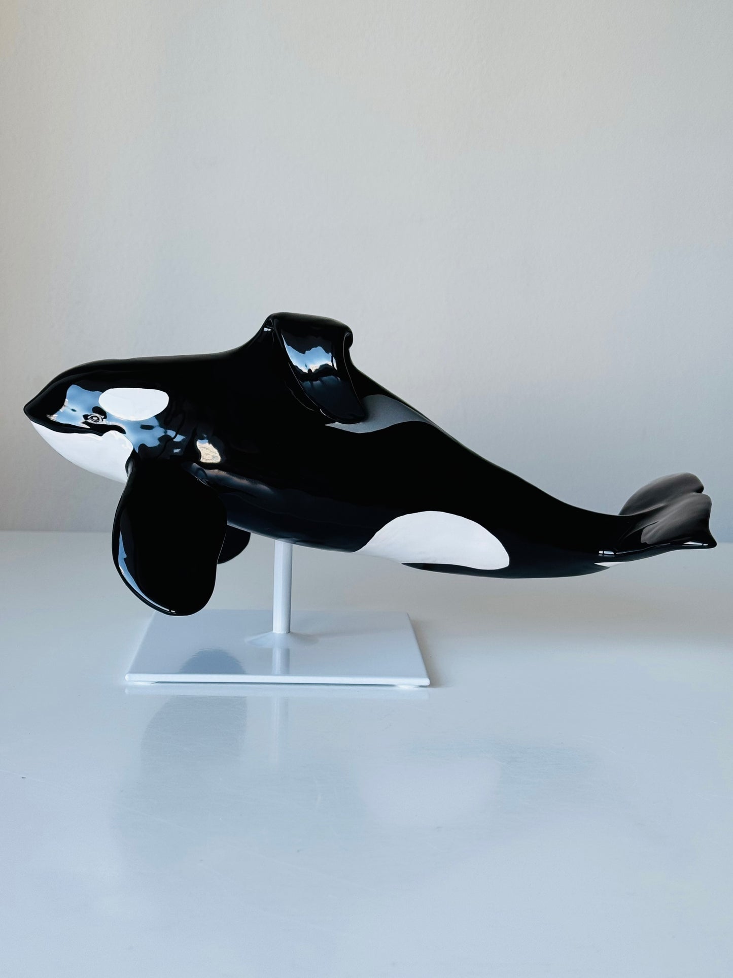 Orca Willy