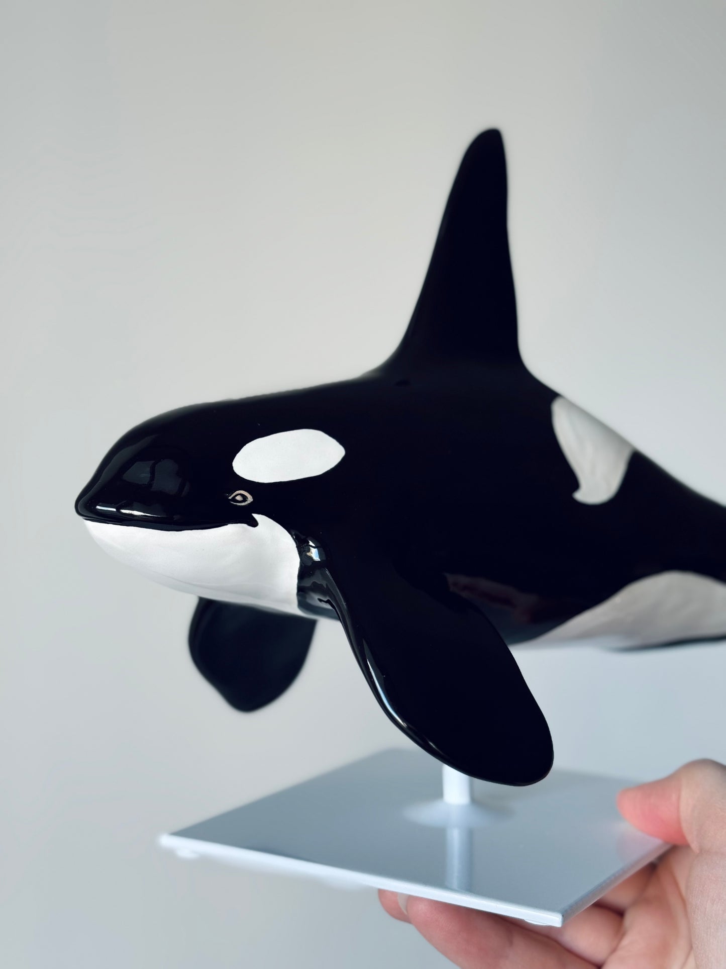 Male Orca on a stand