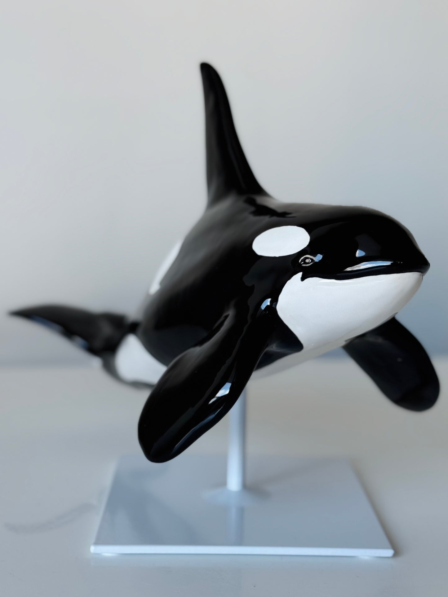 Male Orca on a stand