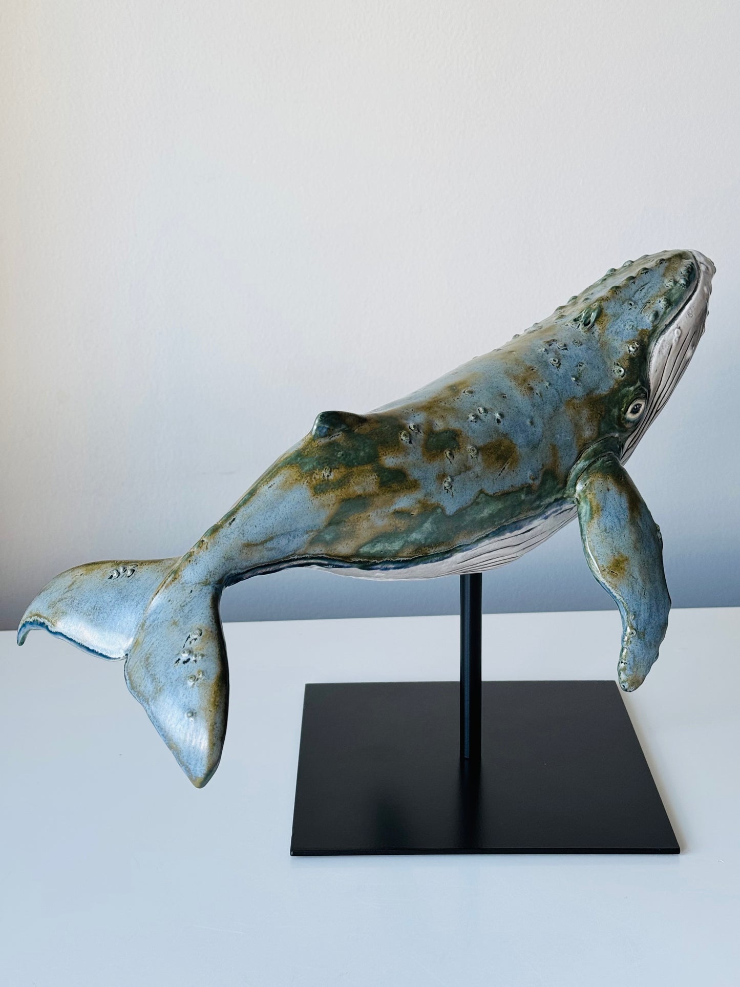 Big Humpback Whale