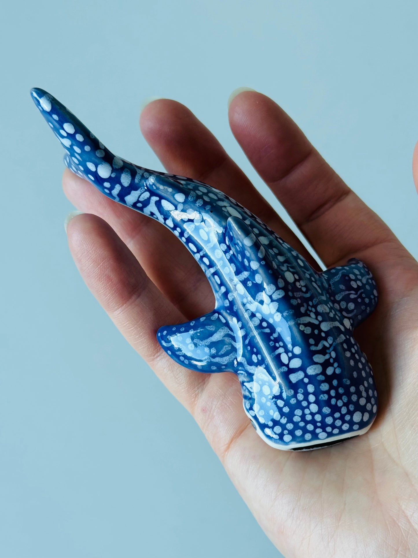 Baby Whale Shark