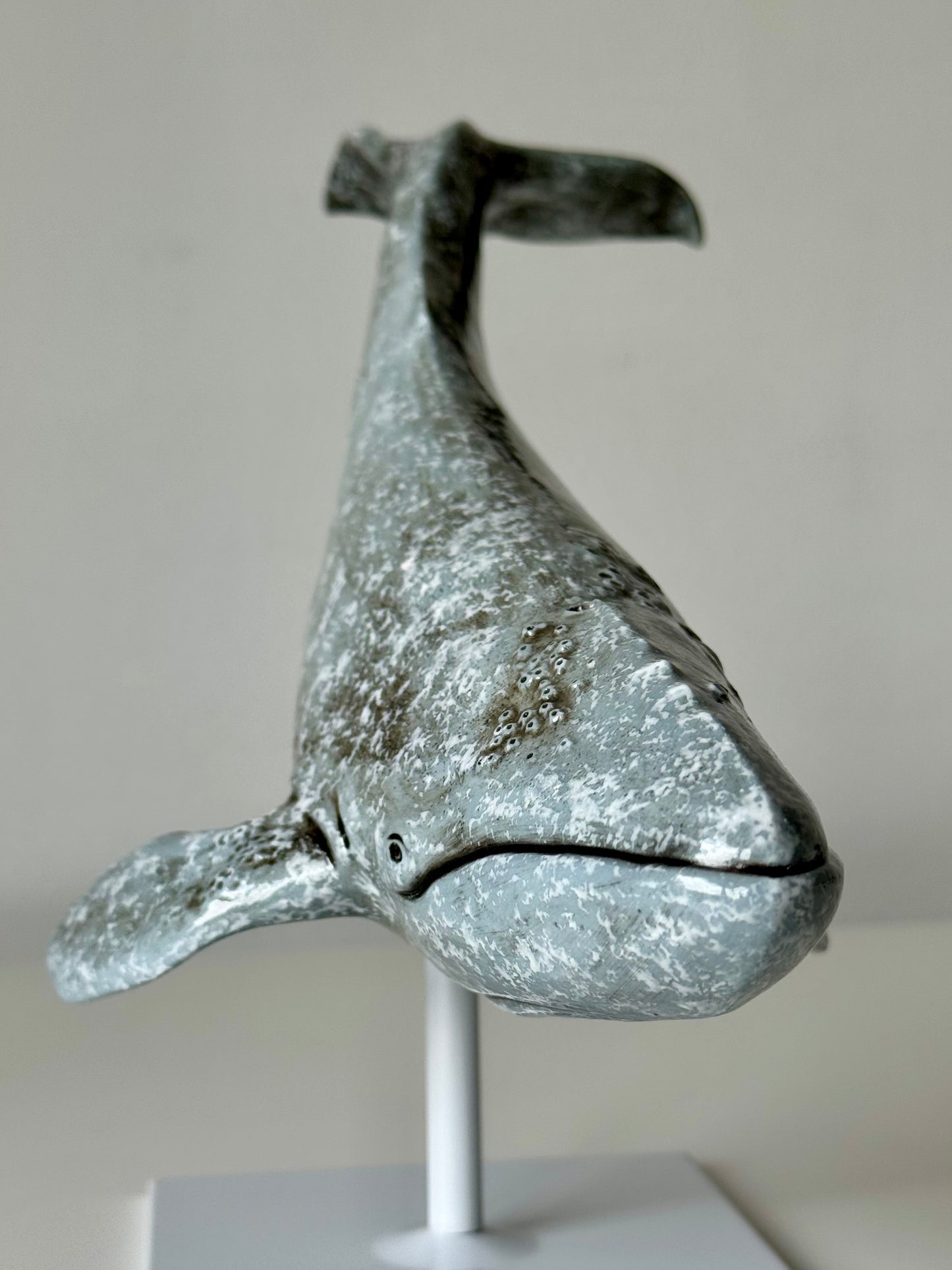 Gray whale on a stand