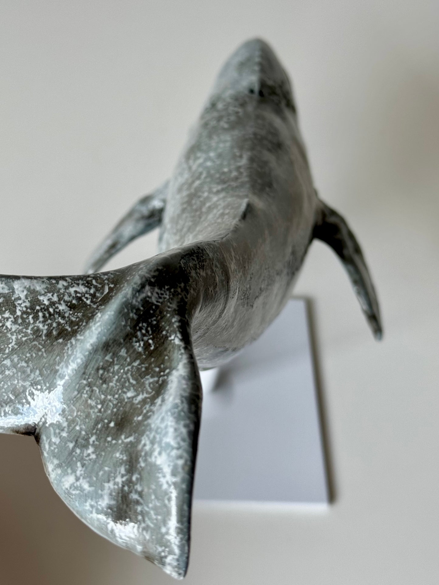 Gray whale on a stand