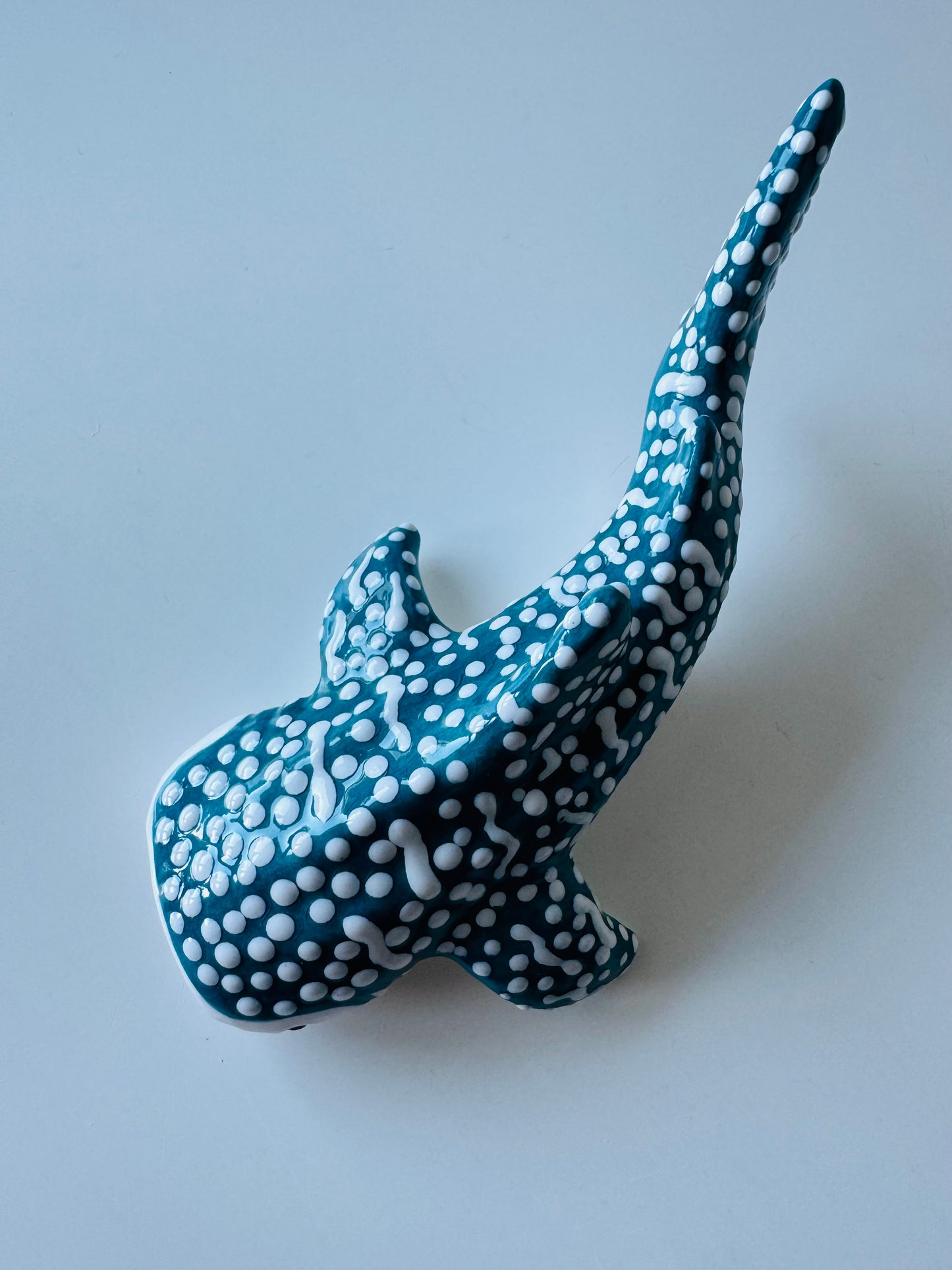 Baby Whale Shark
