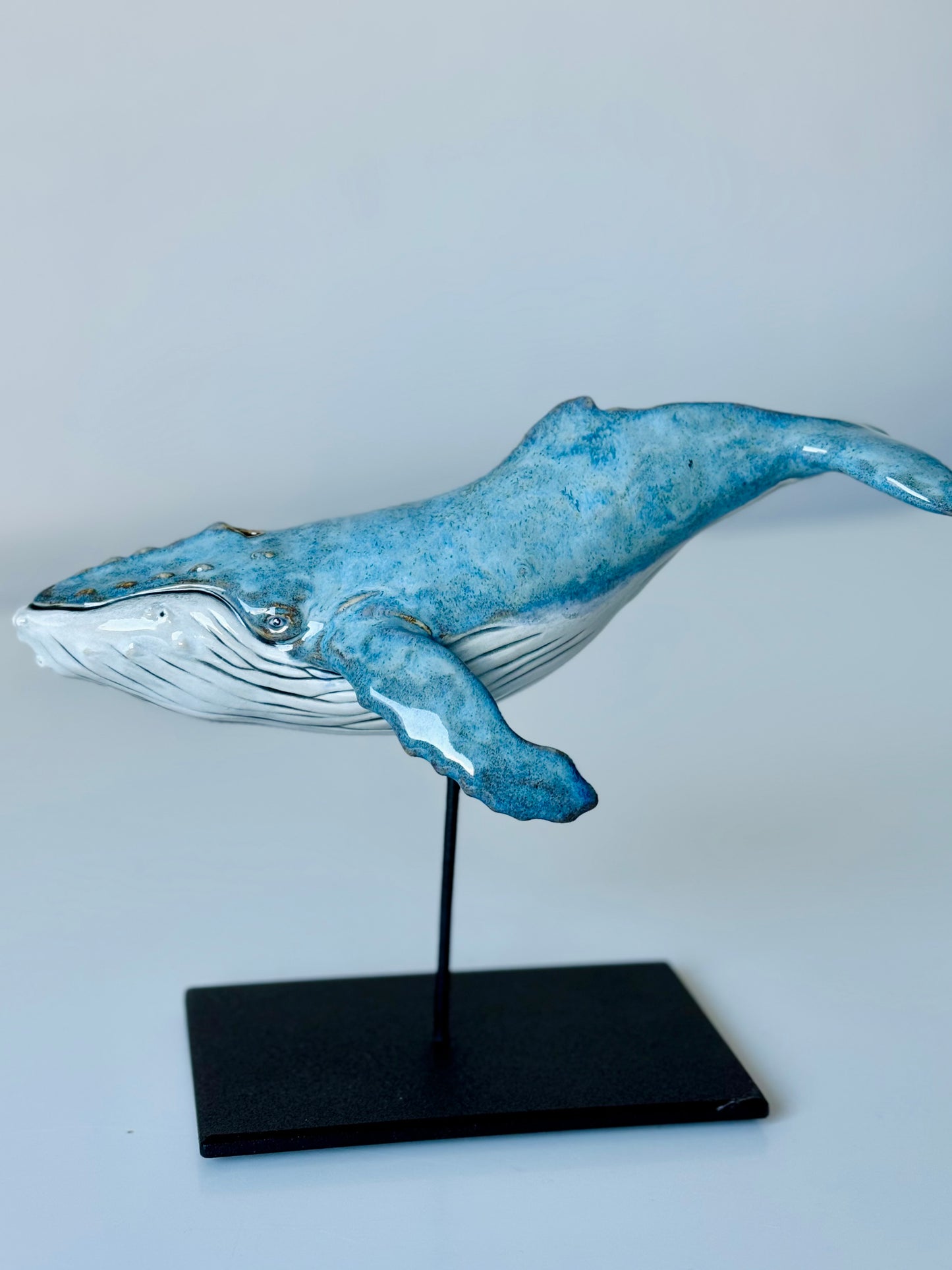 Baby Humpback Whale