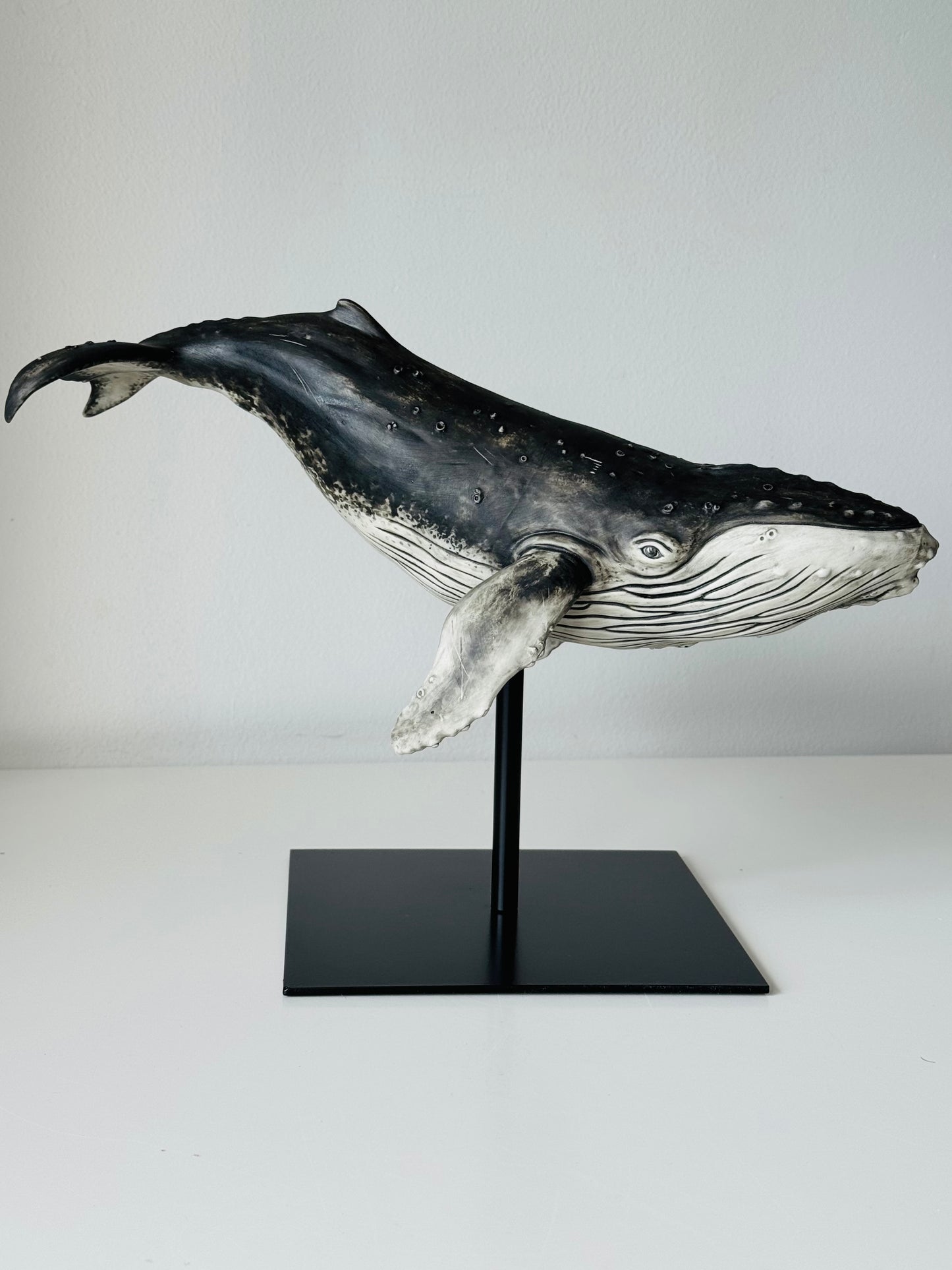 Big Humpback Whale