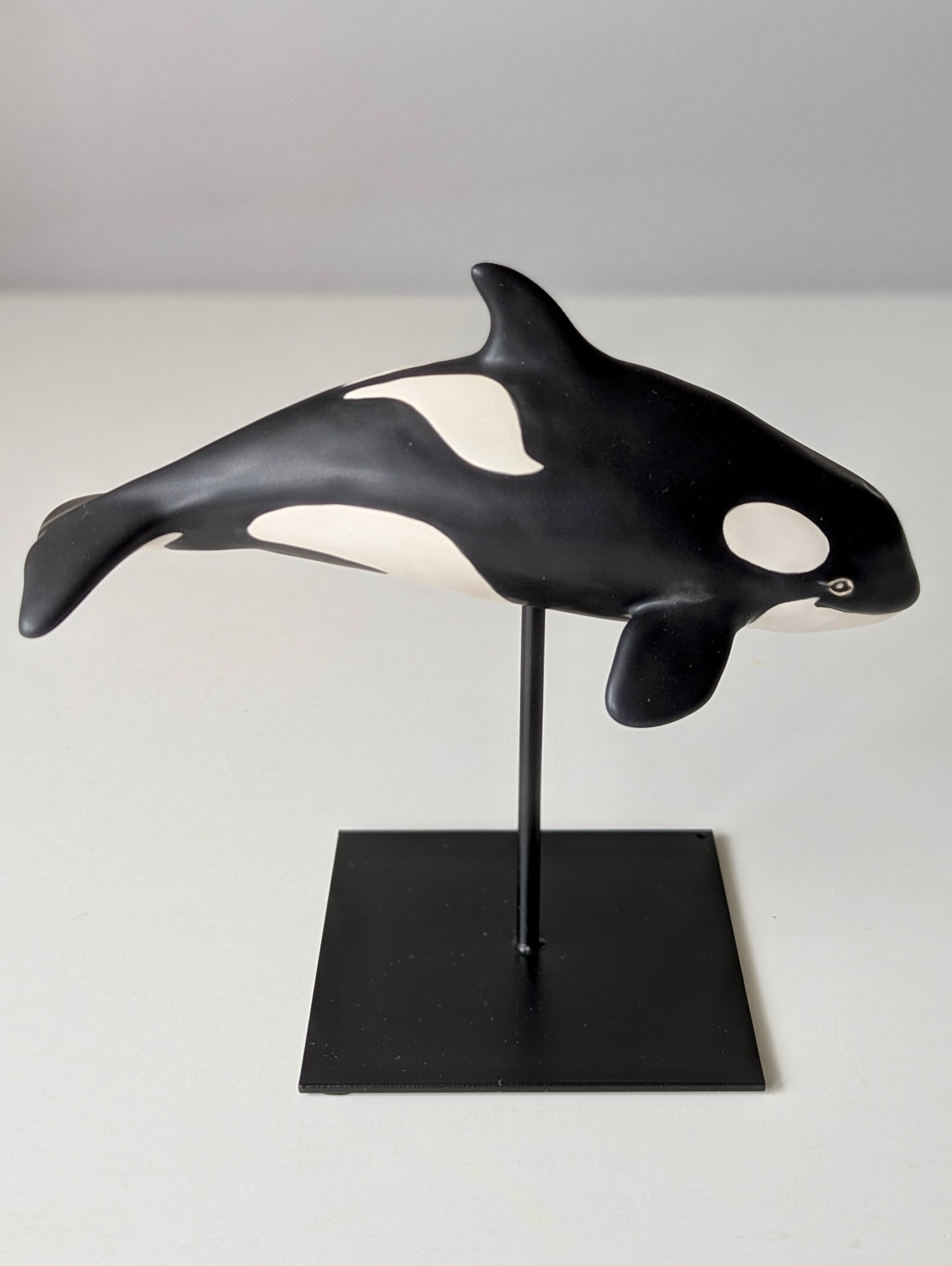 Baby Orca