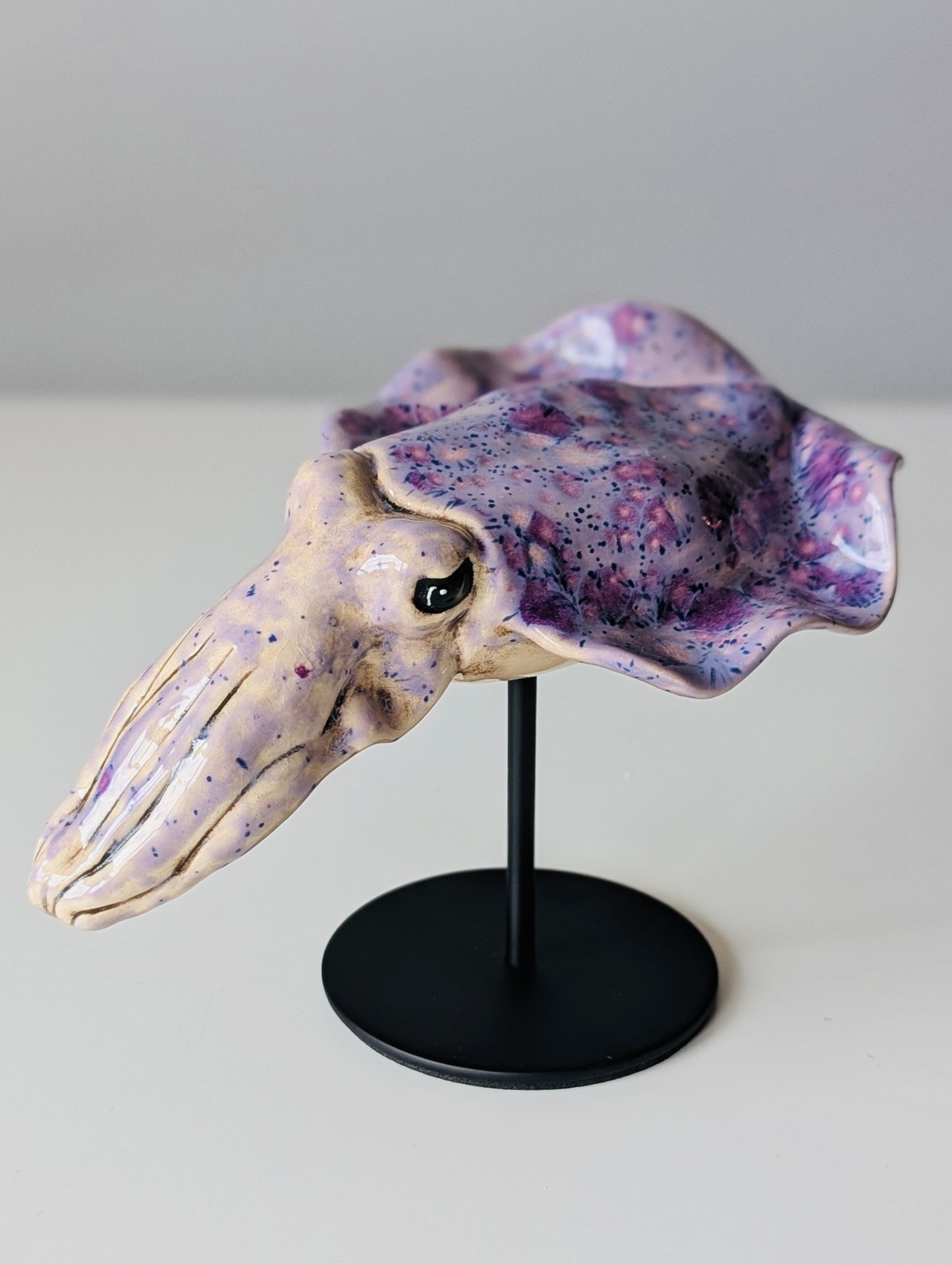 Cuttlefish
