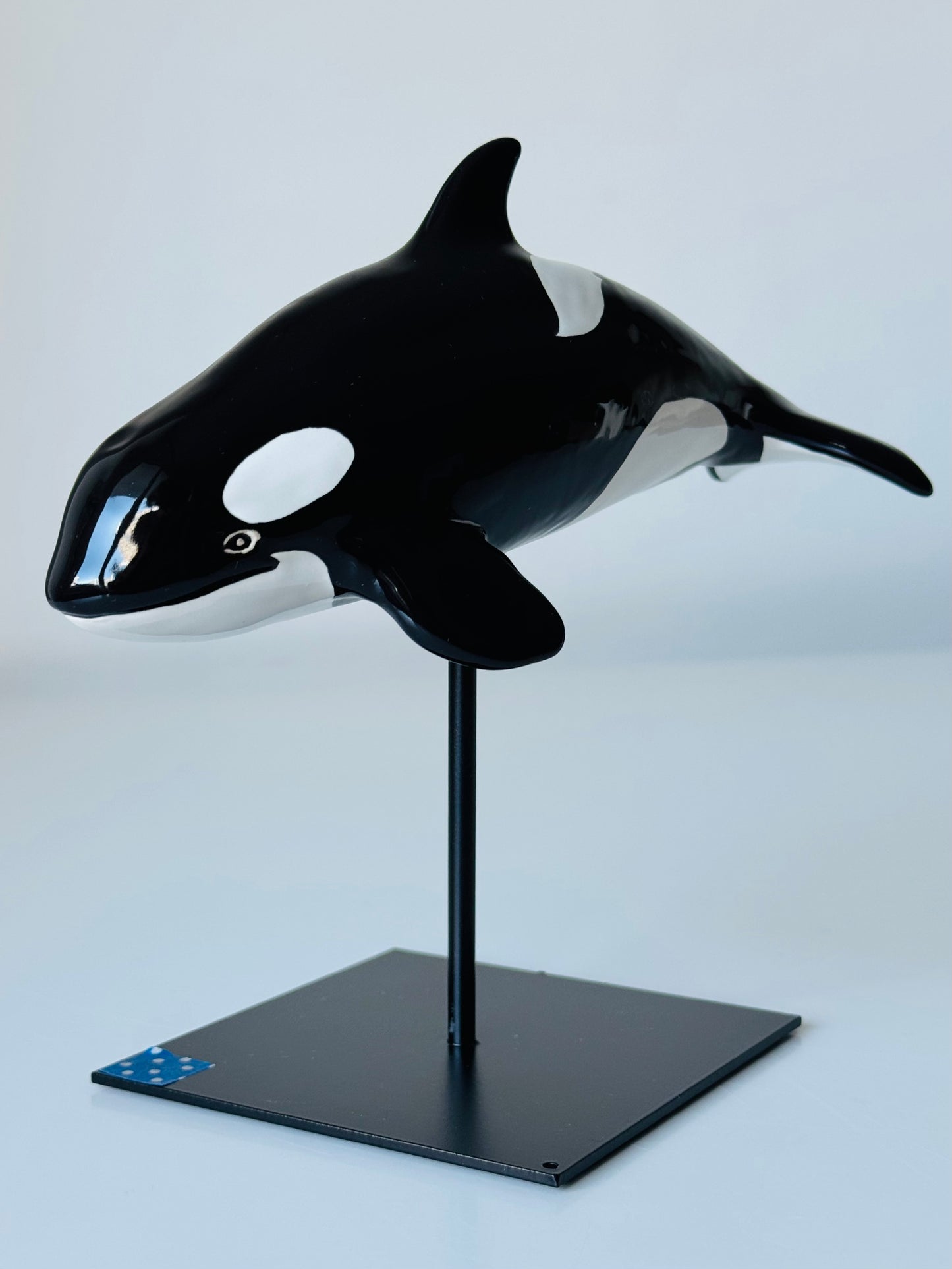 Baby Orca
