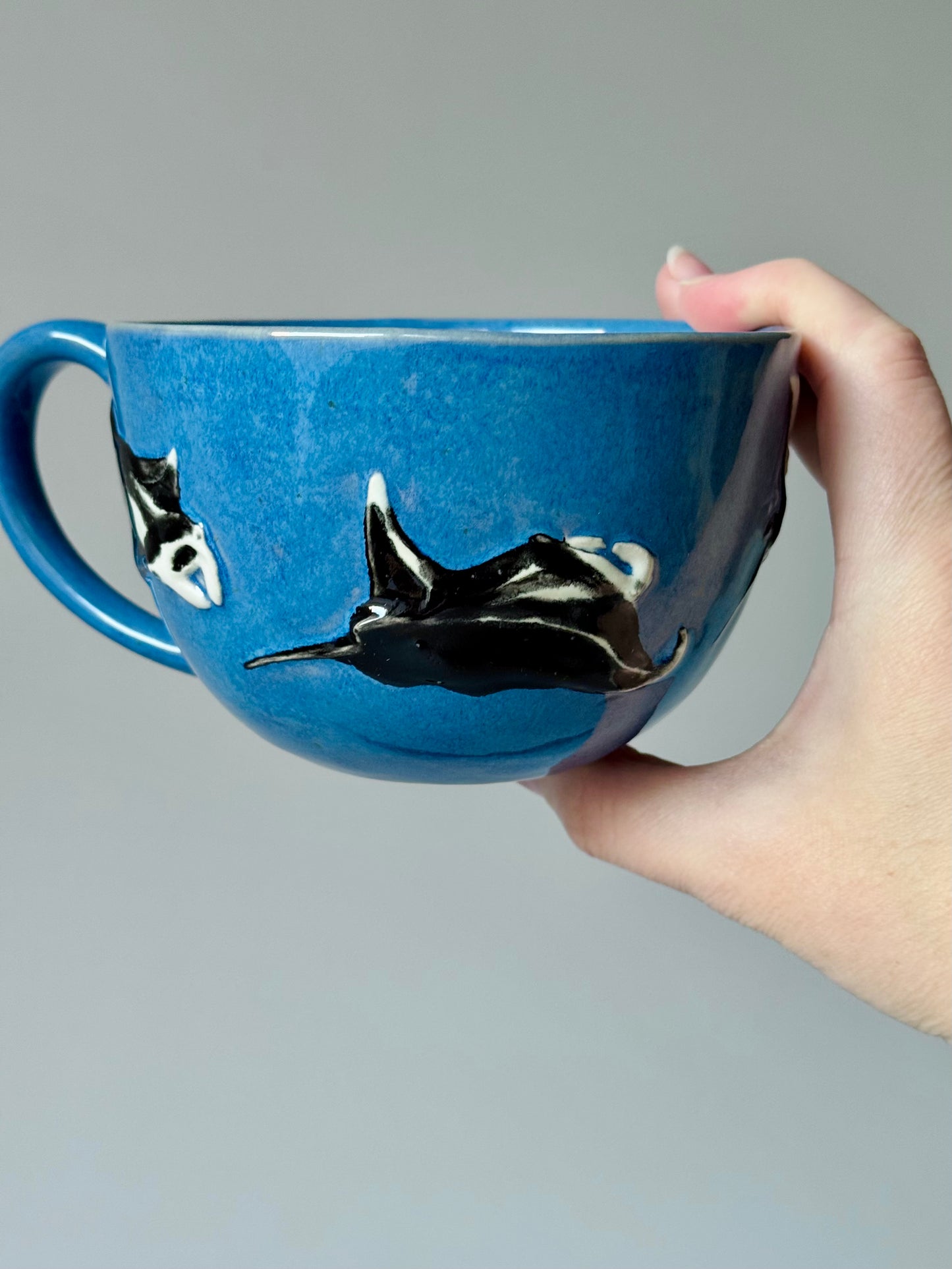 Flying Mantas Mug