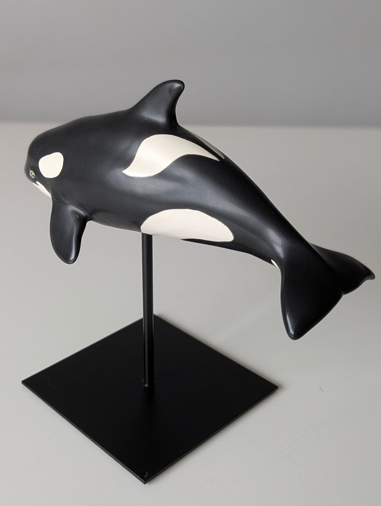 Baby Orca