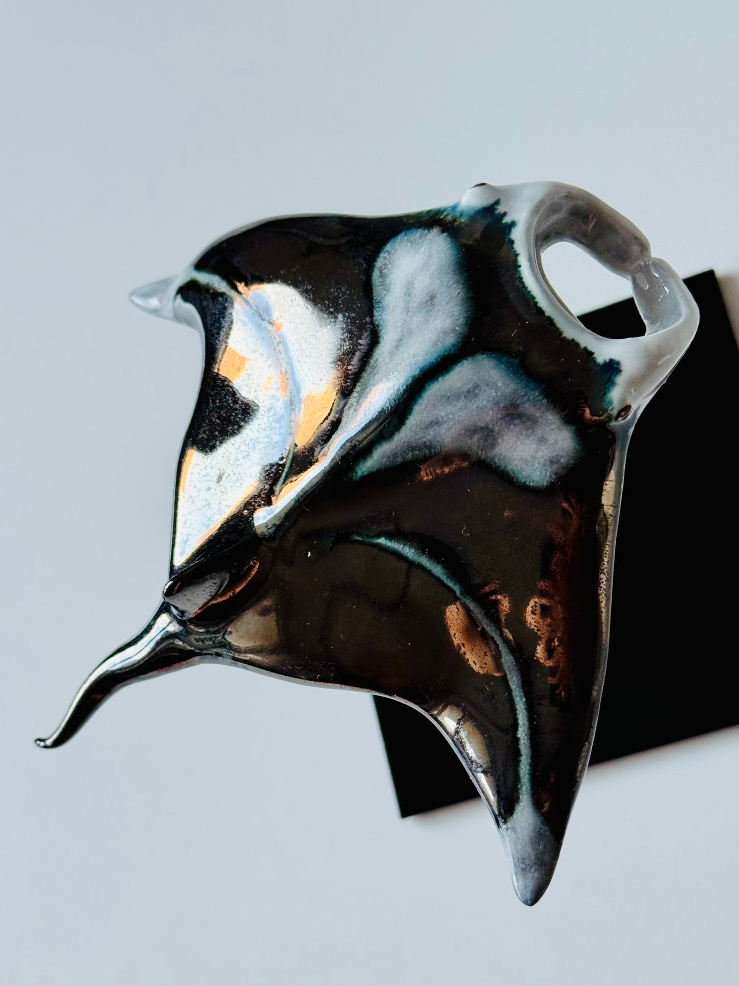 Manta Ray