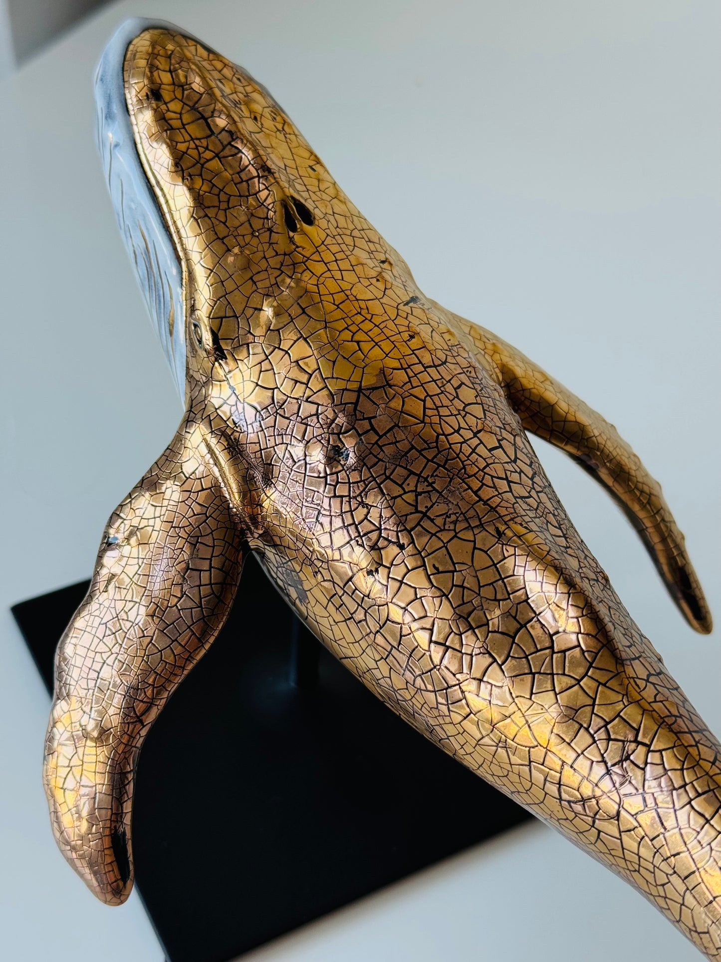 Humpback Whale