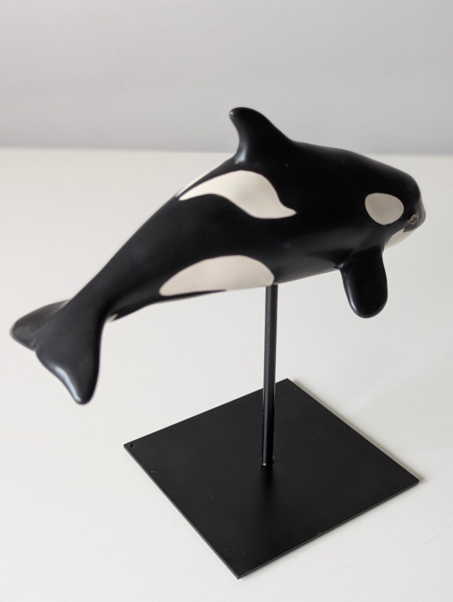 Baby Orca