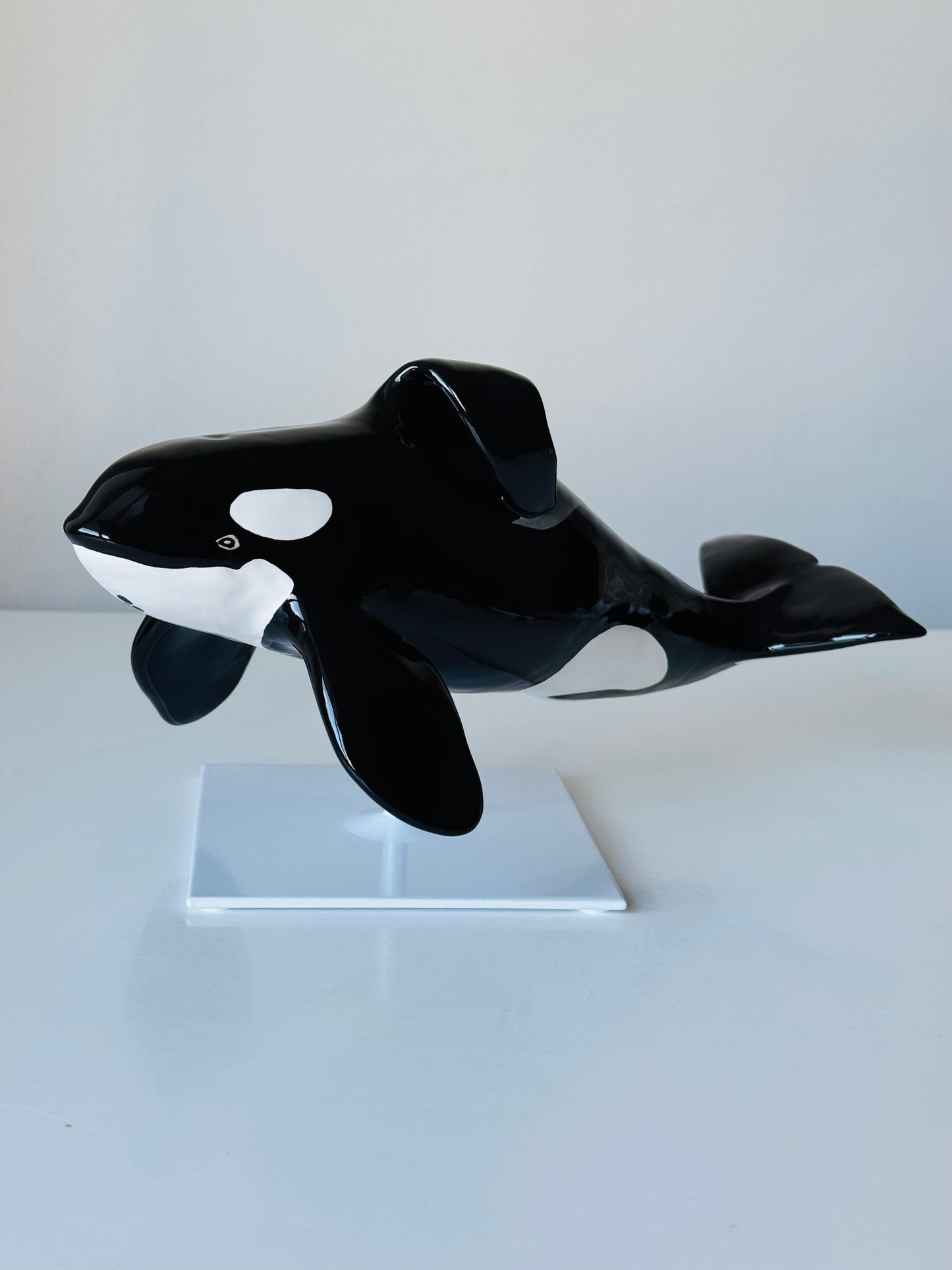 Orca Willy