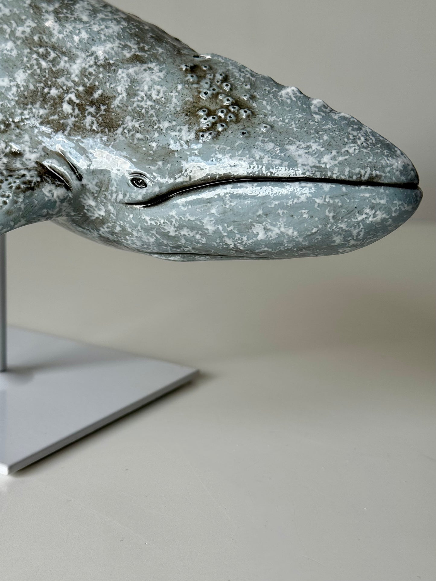 Gray whale on a stand