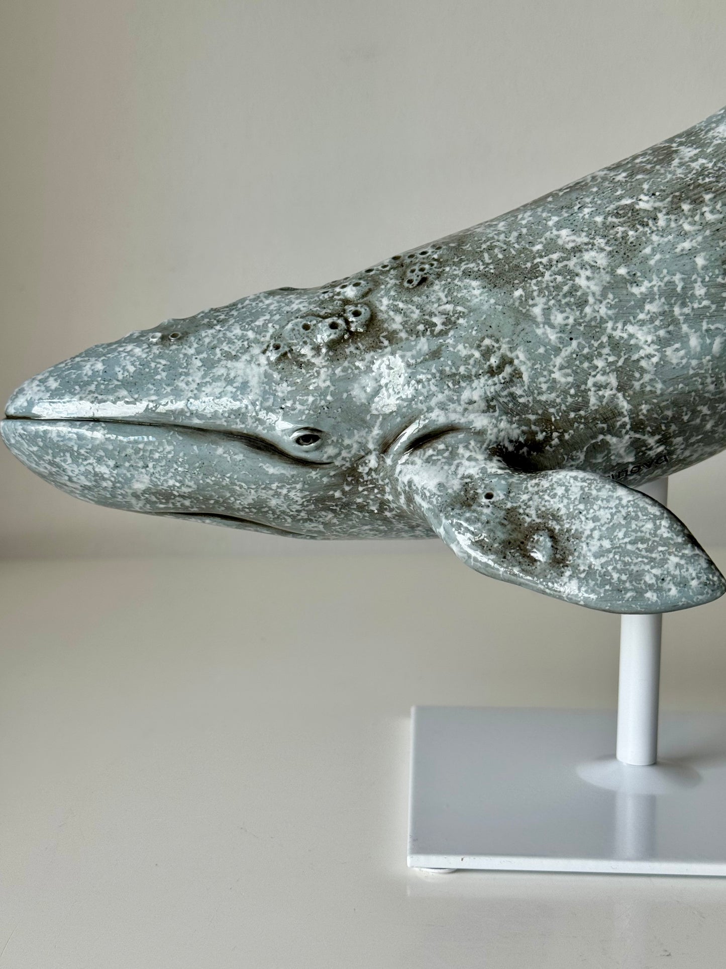 Gray whale on a stand