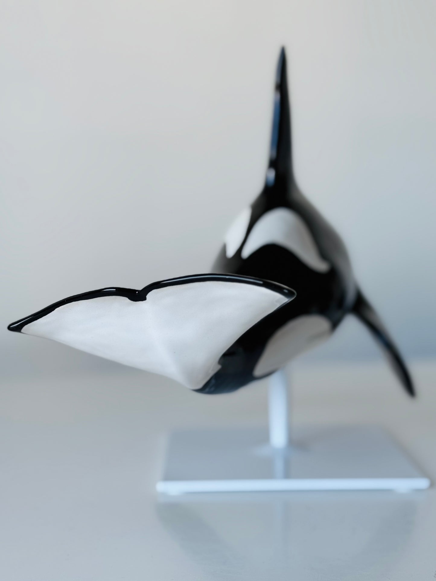 Male Orca on a stand