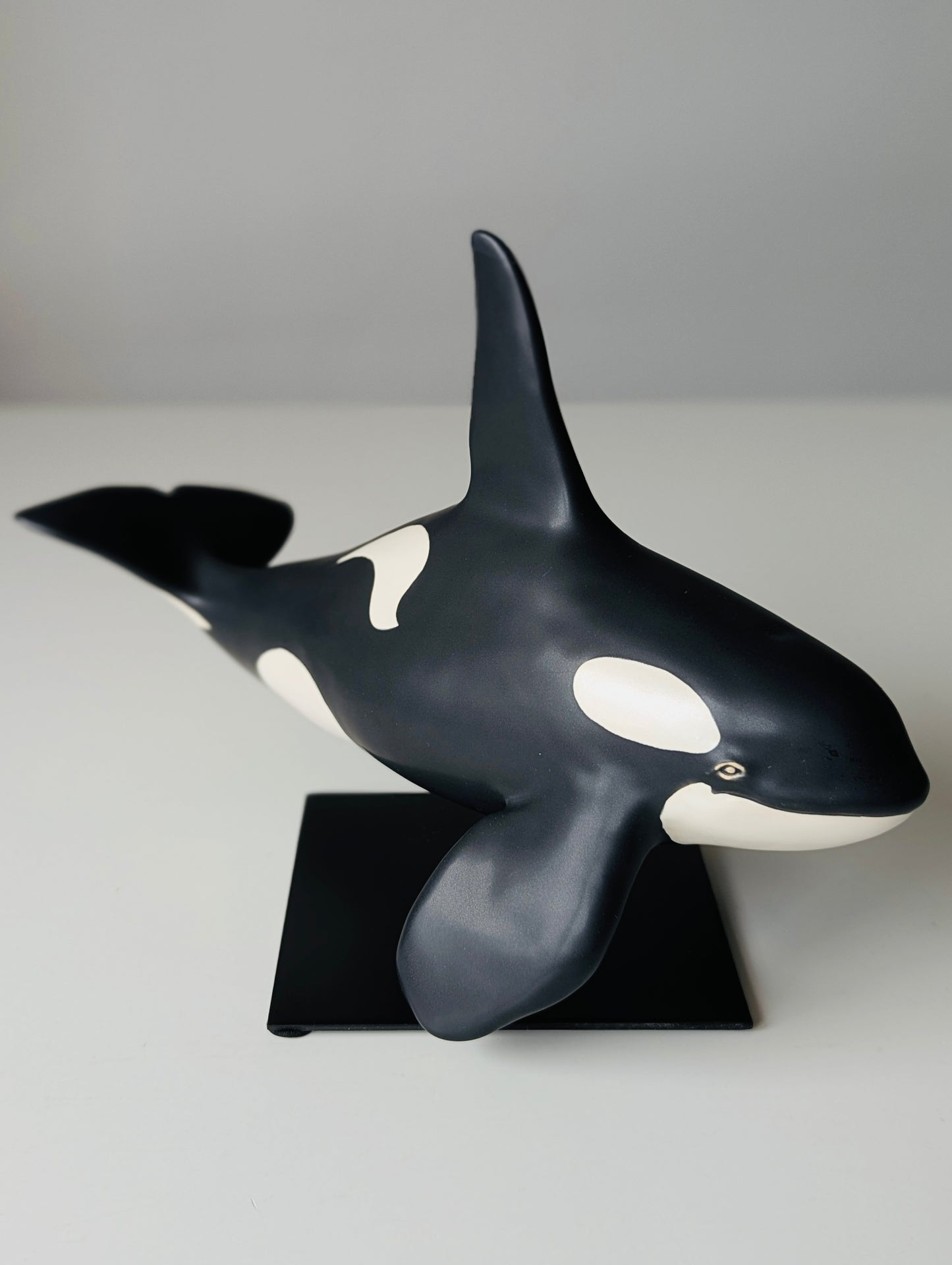 Male Orca on a stand