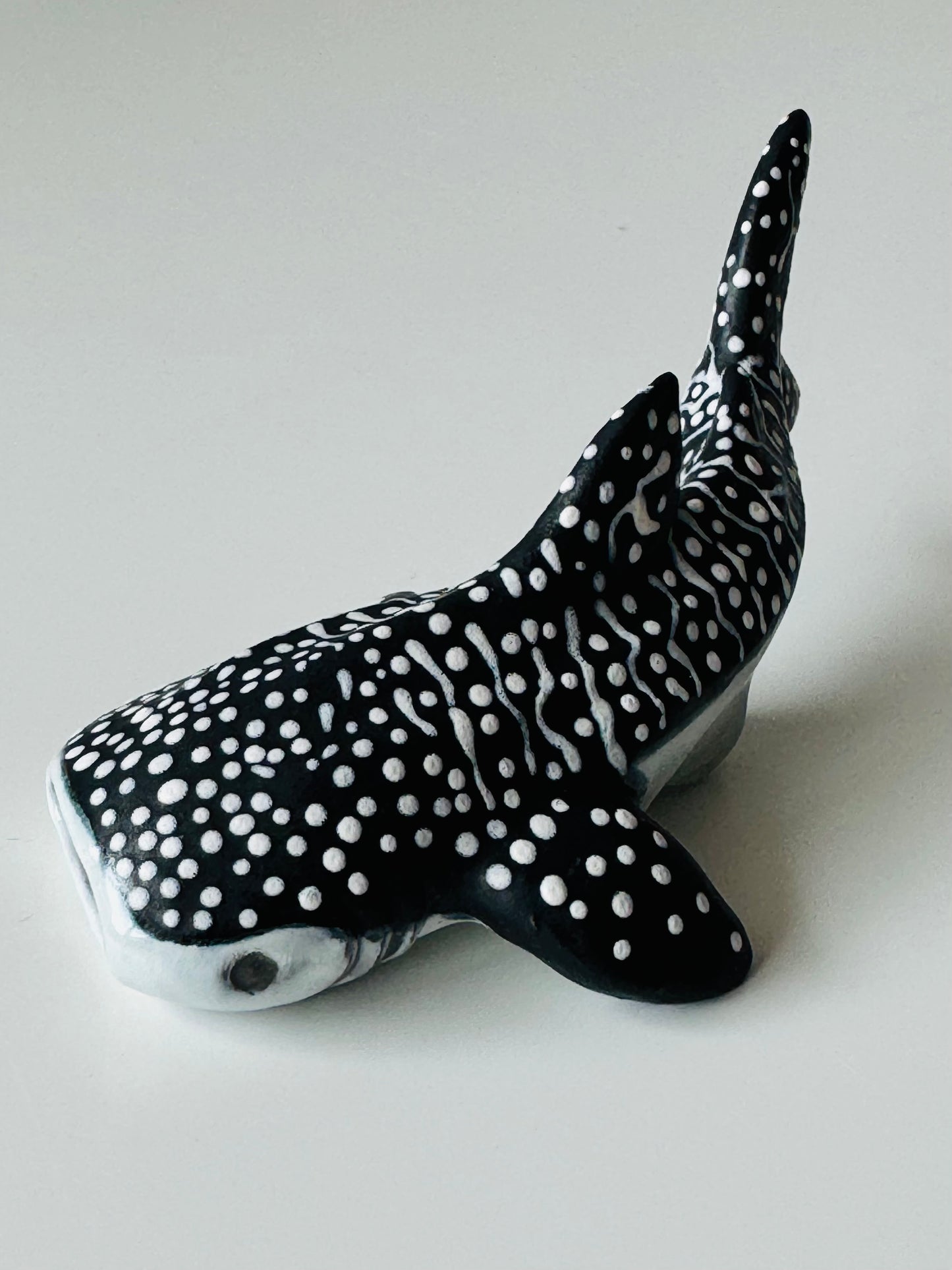 Baby Whale Shark