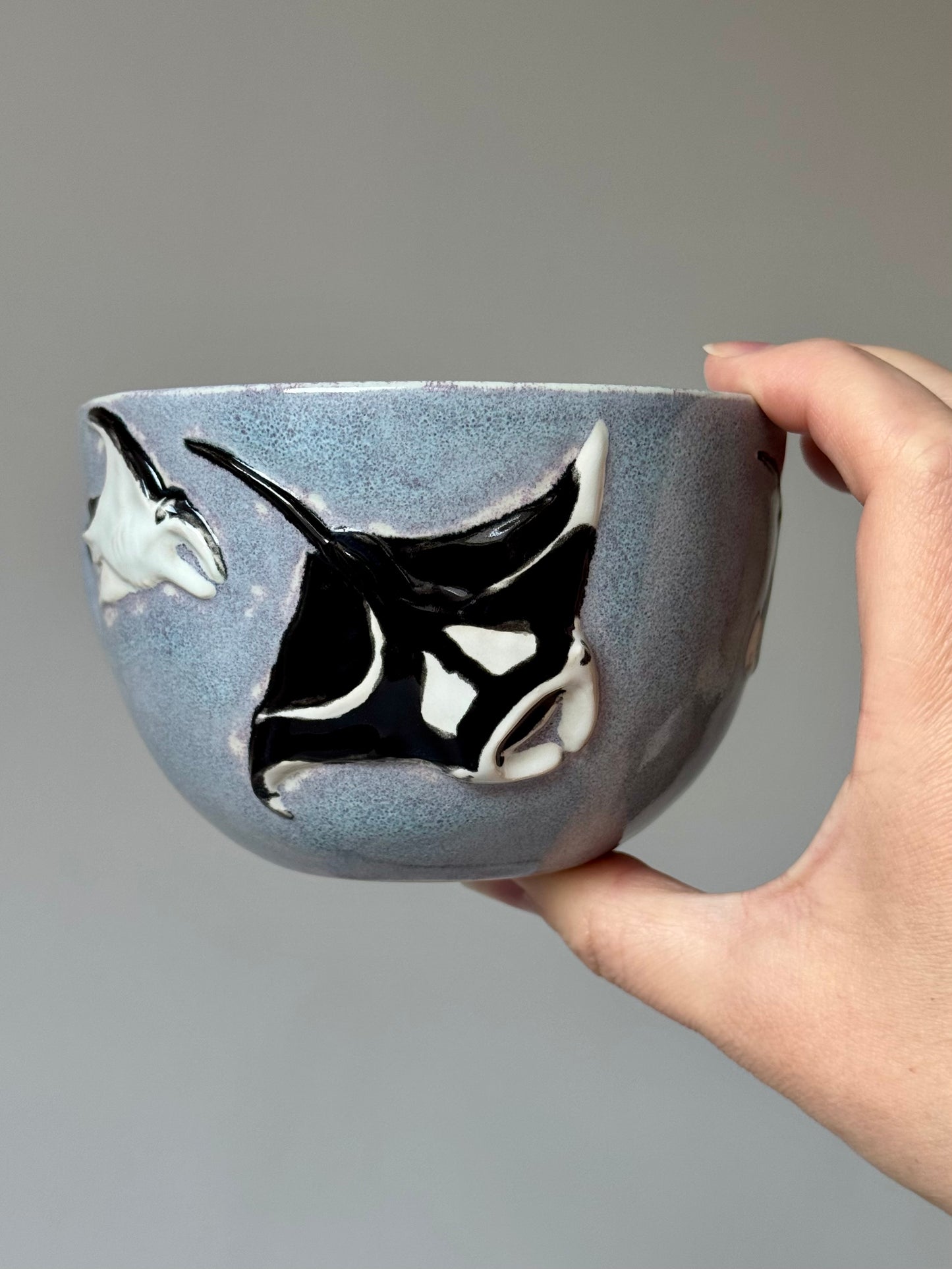 Flying Mantas Mug