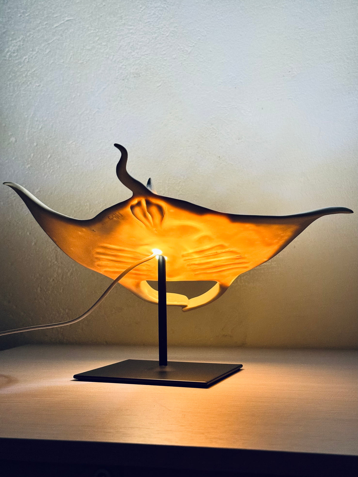 Big Manta Ray