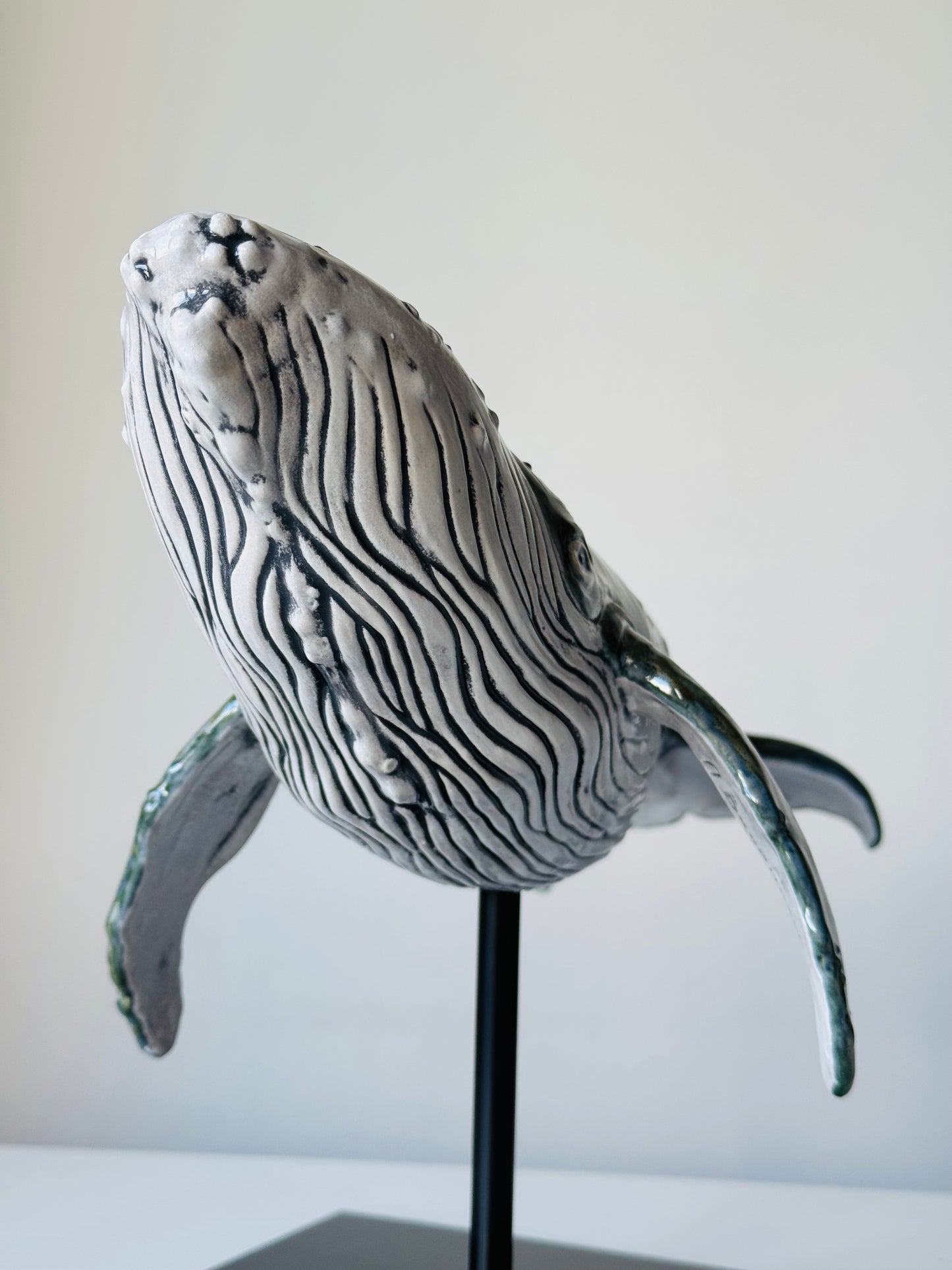 Big Humpback Whale