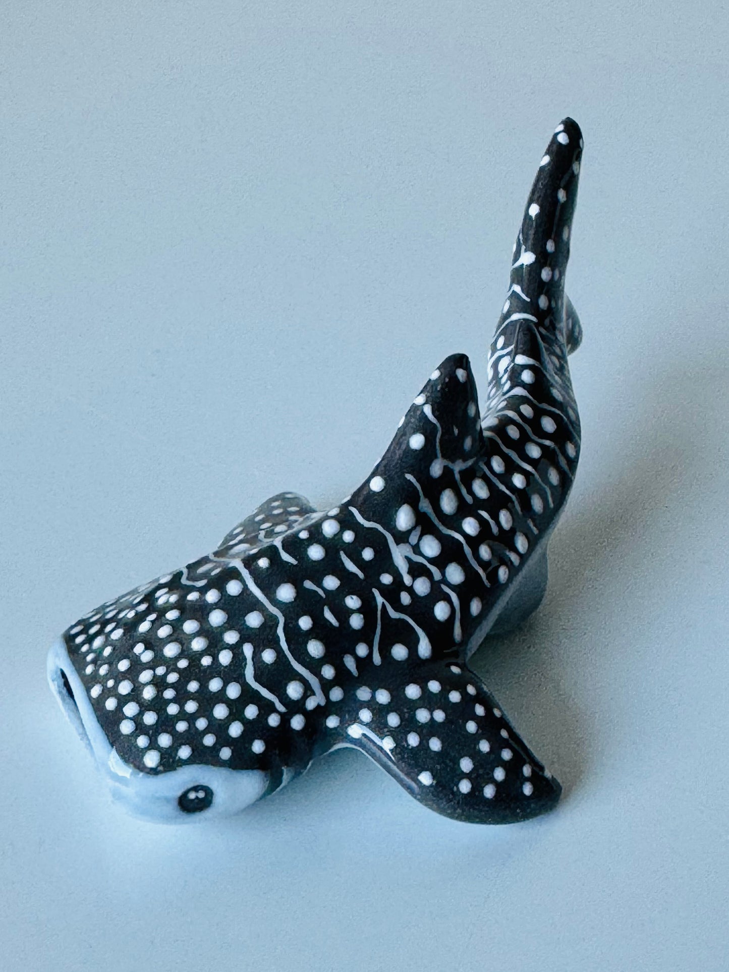 Baby Whale Shark