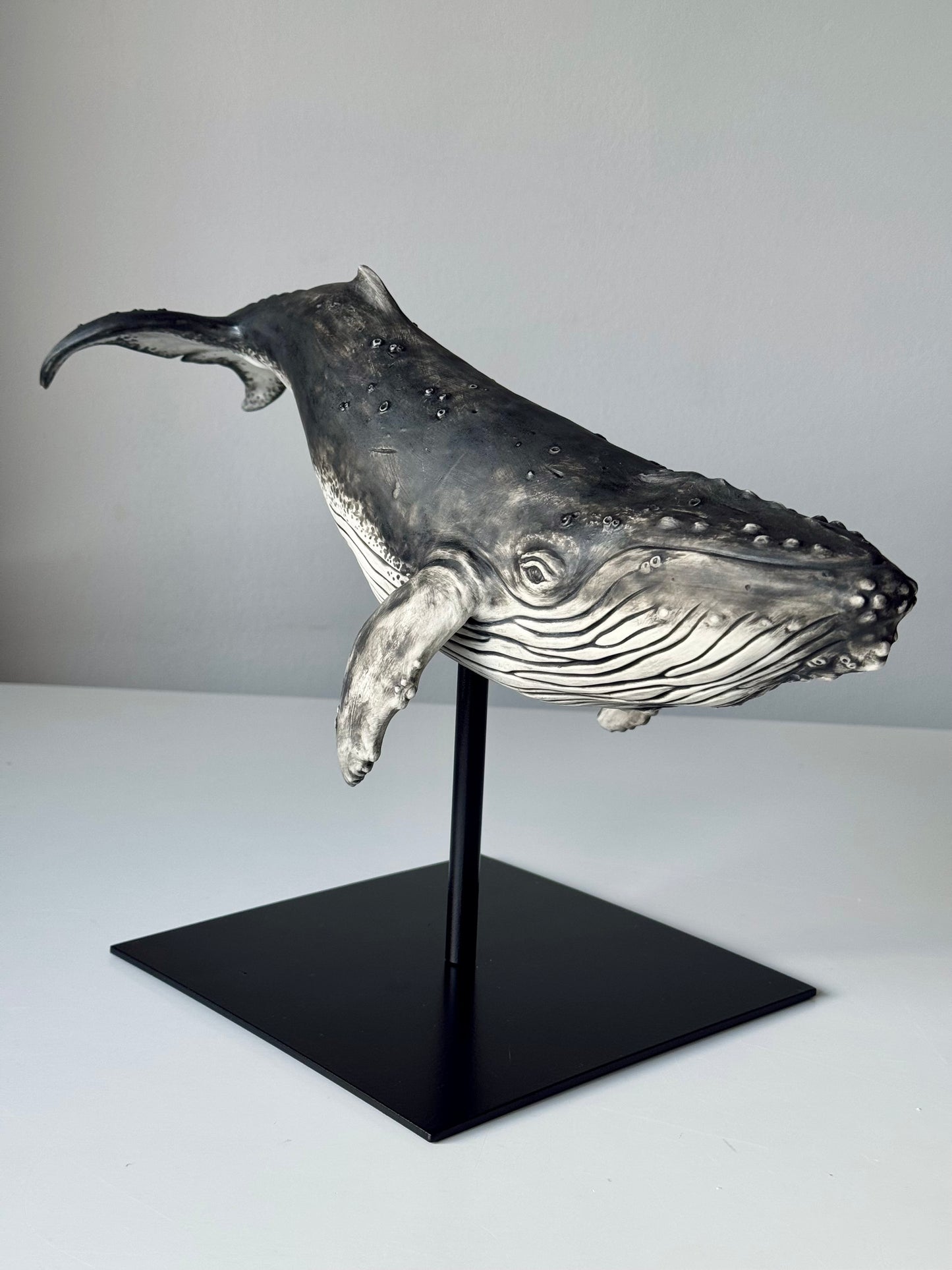 Big Humpback Whale