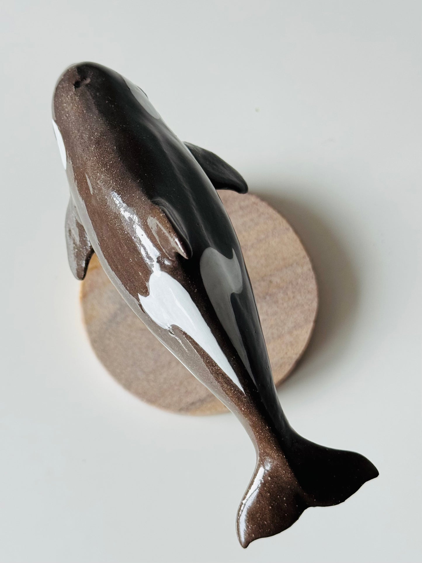 Baby Orca