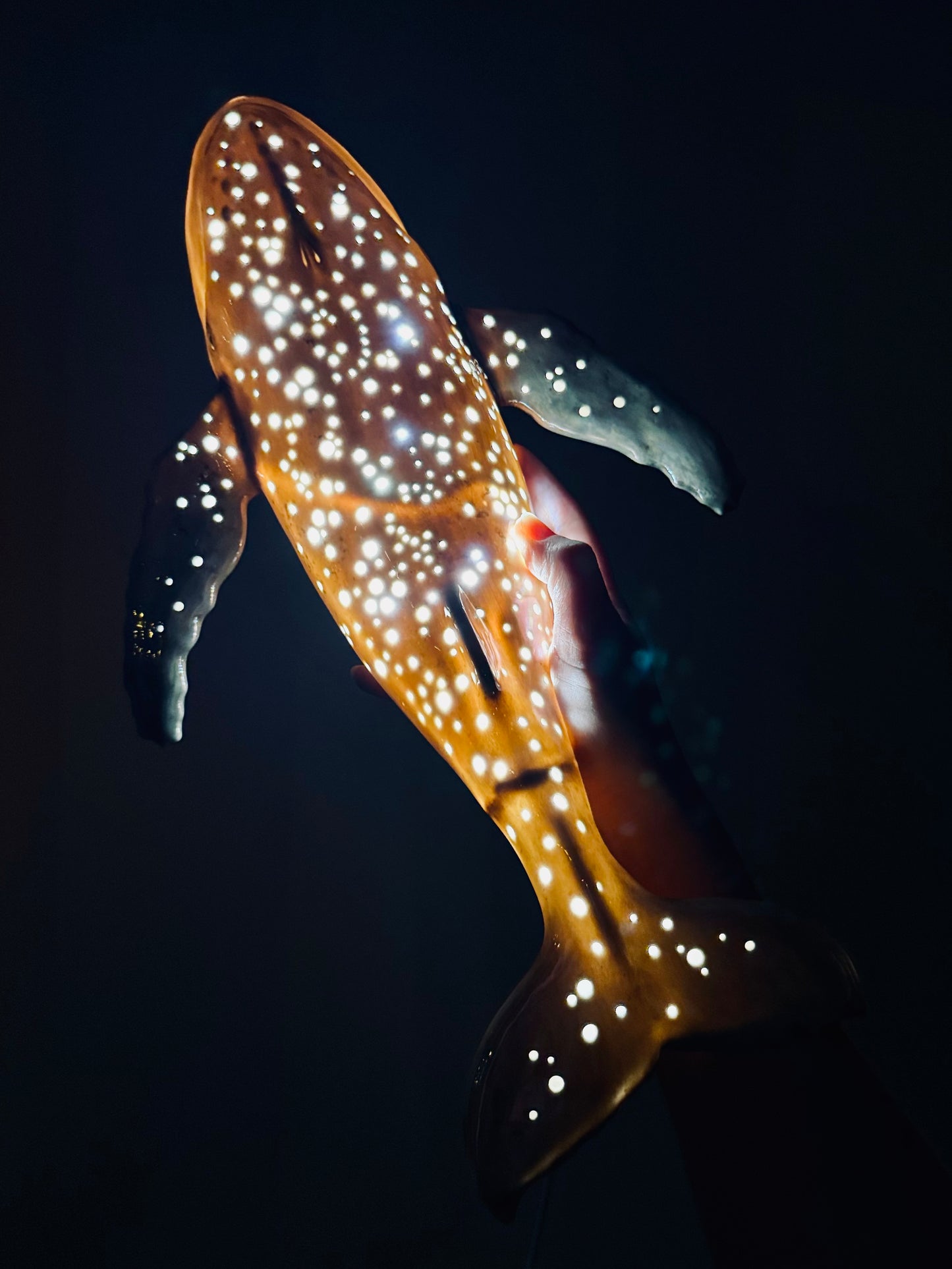 Whale Lamp