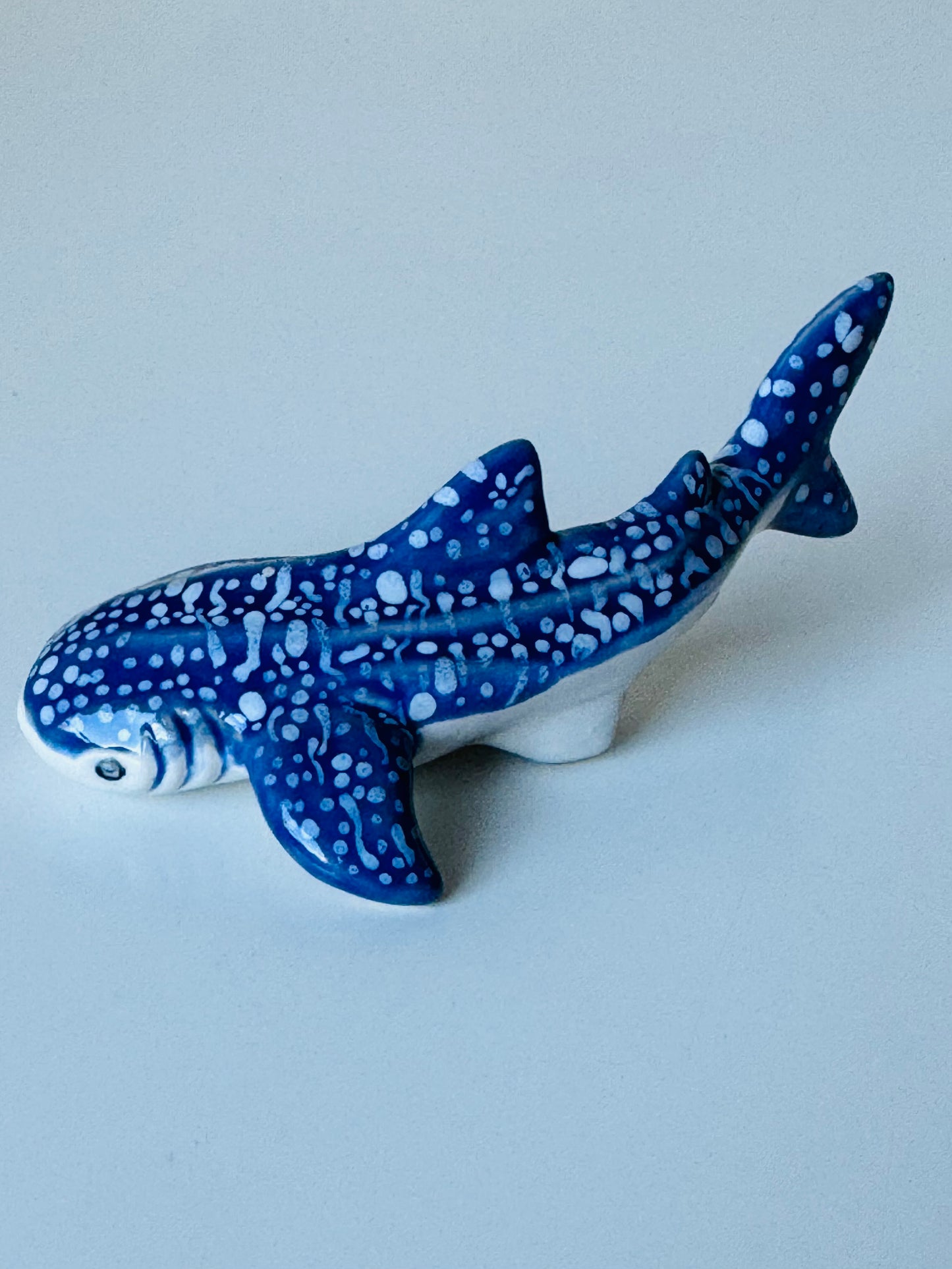 Baby Whale Shark