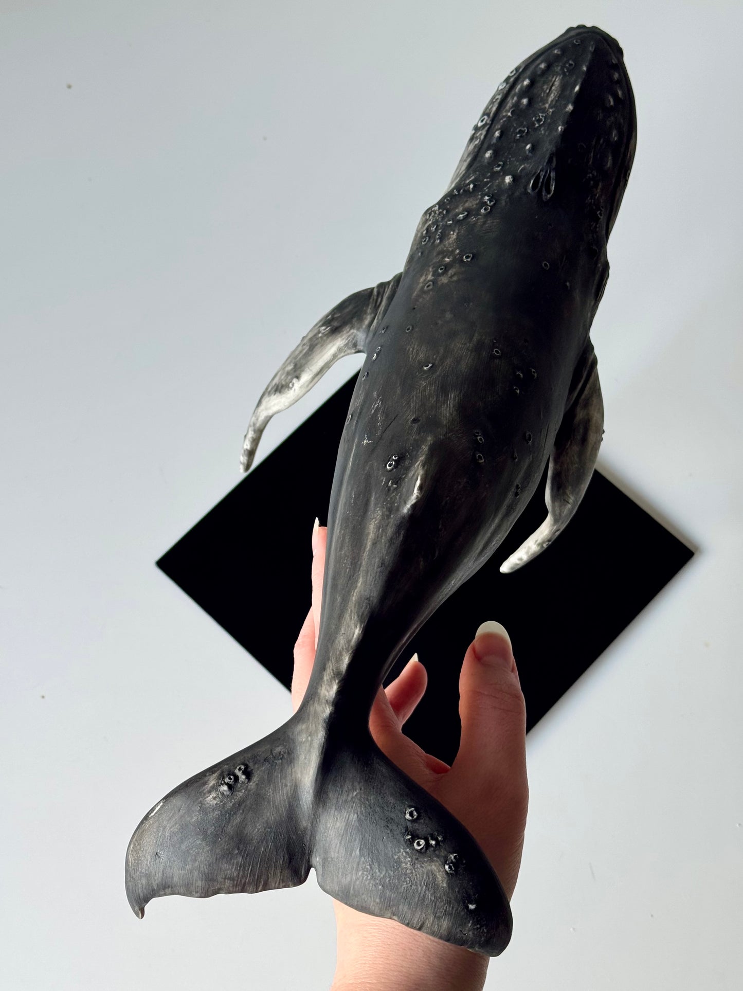 Big Humpback Whale