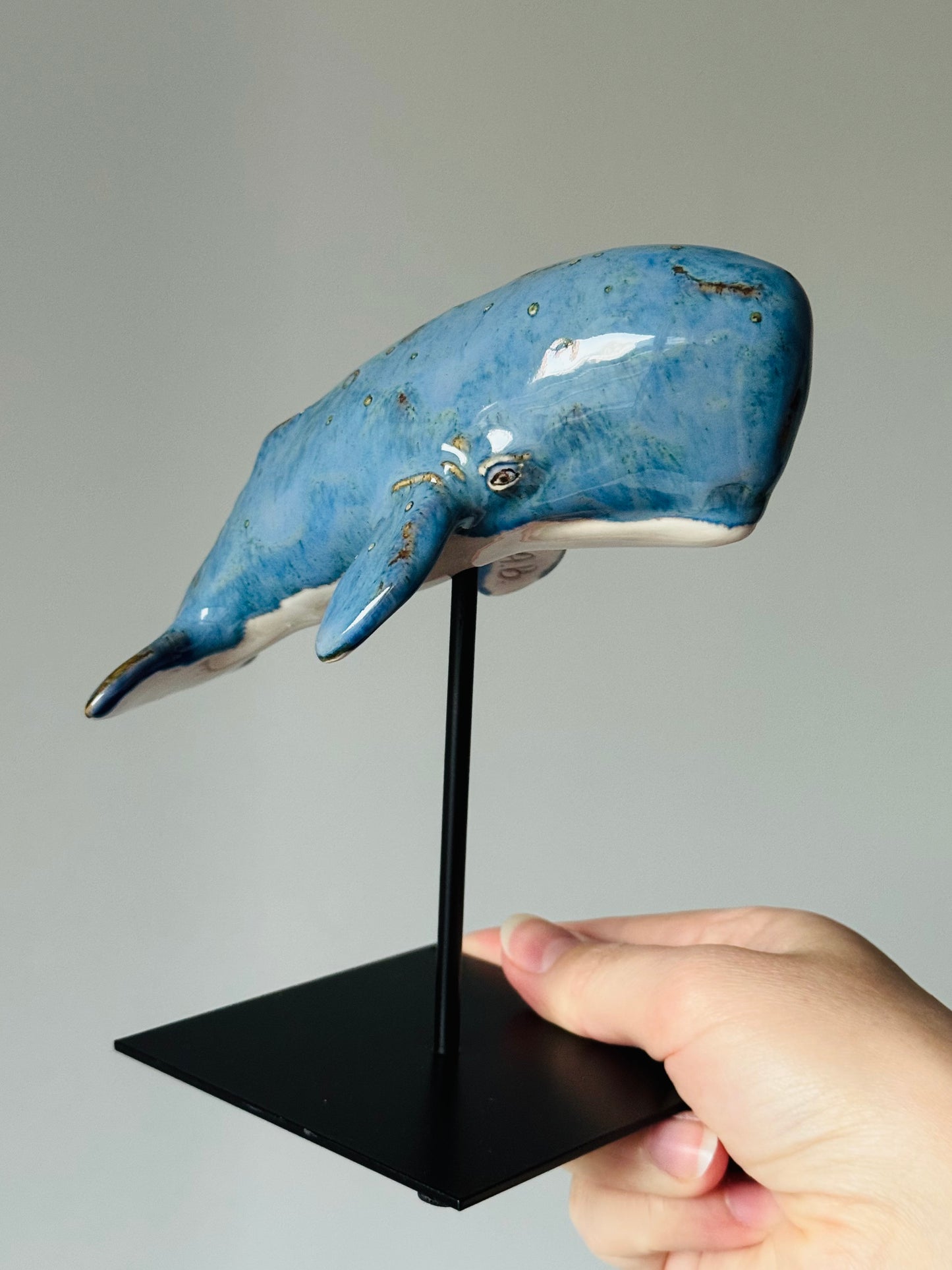 Cachalot on a stand