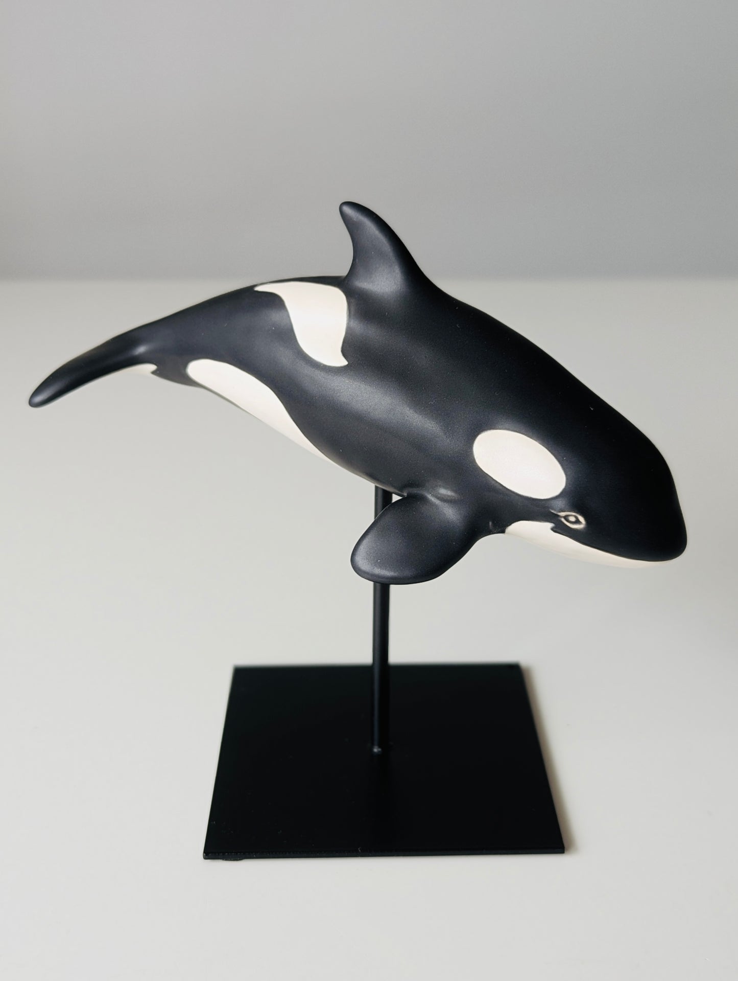 Baby Orca