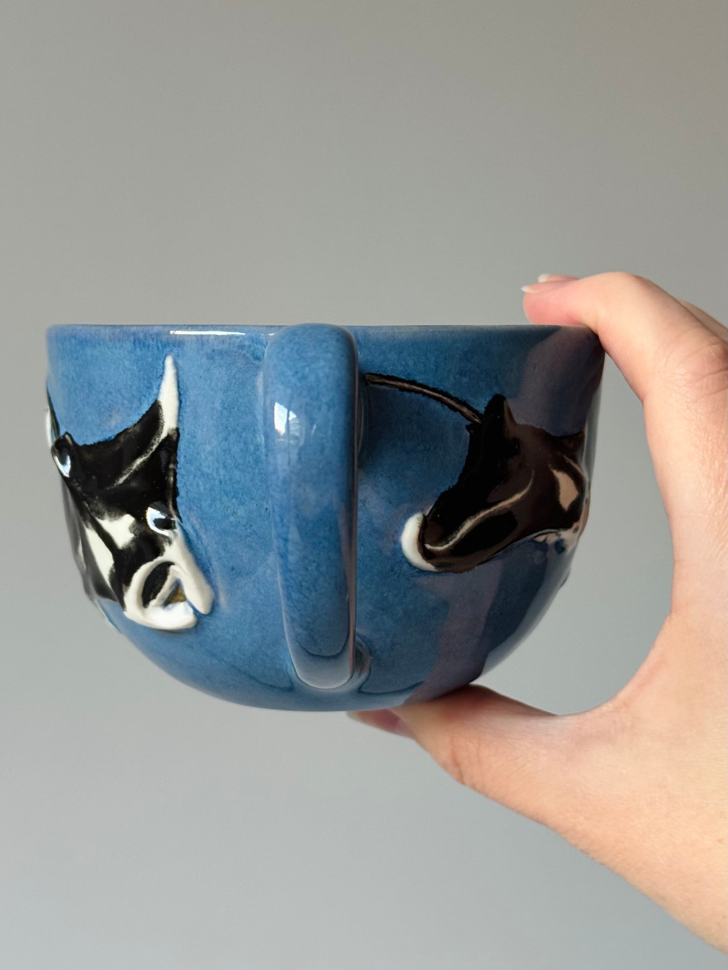 Flying Mantas Mug