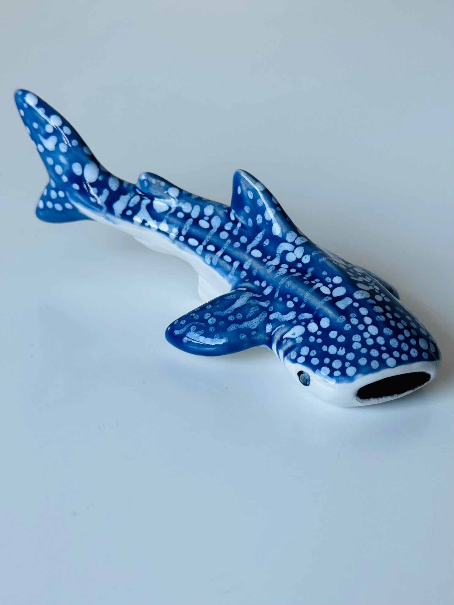 Baby Whale Shark