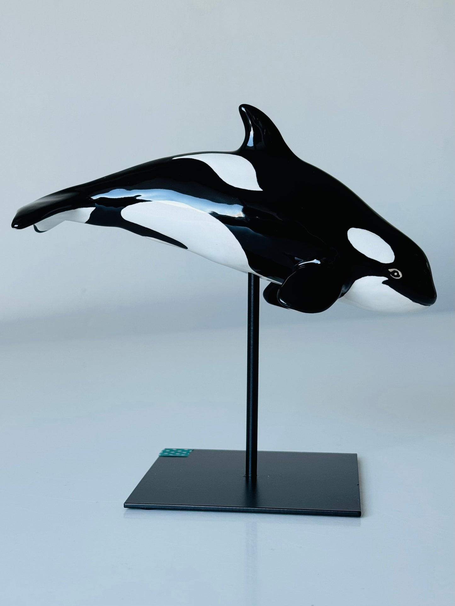 Baby Orca