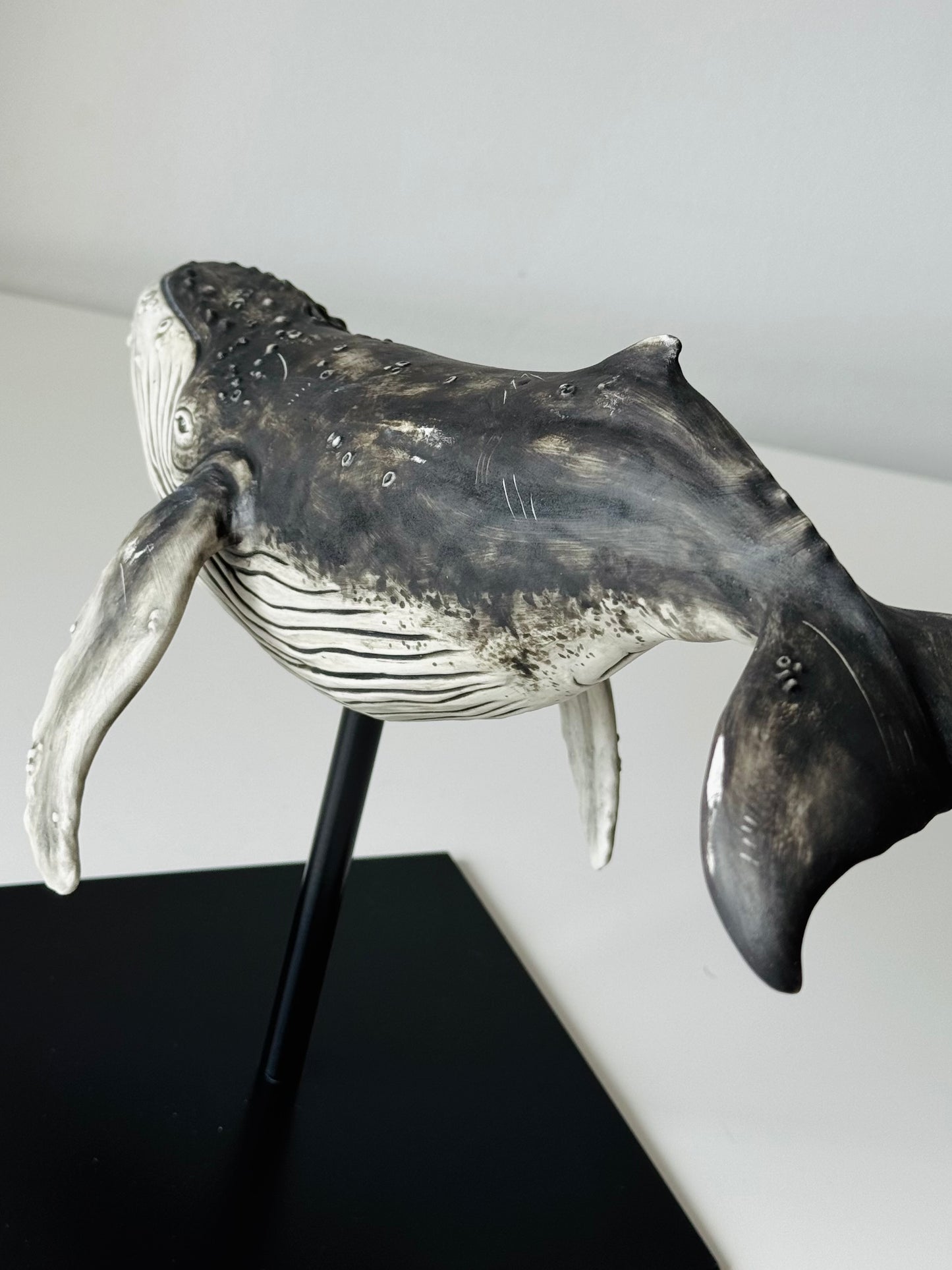 Big Humpback Whale
