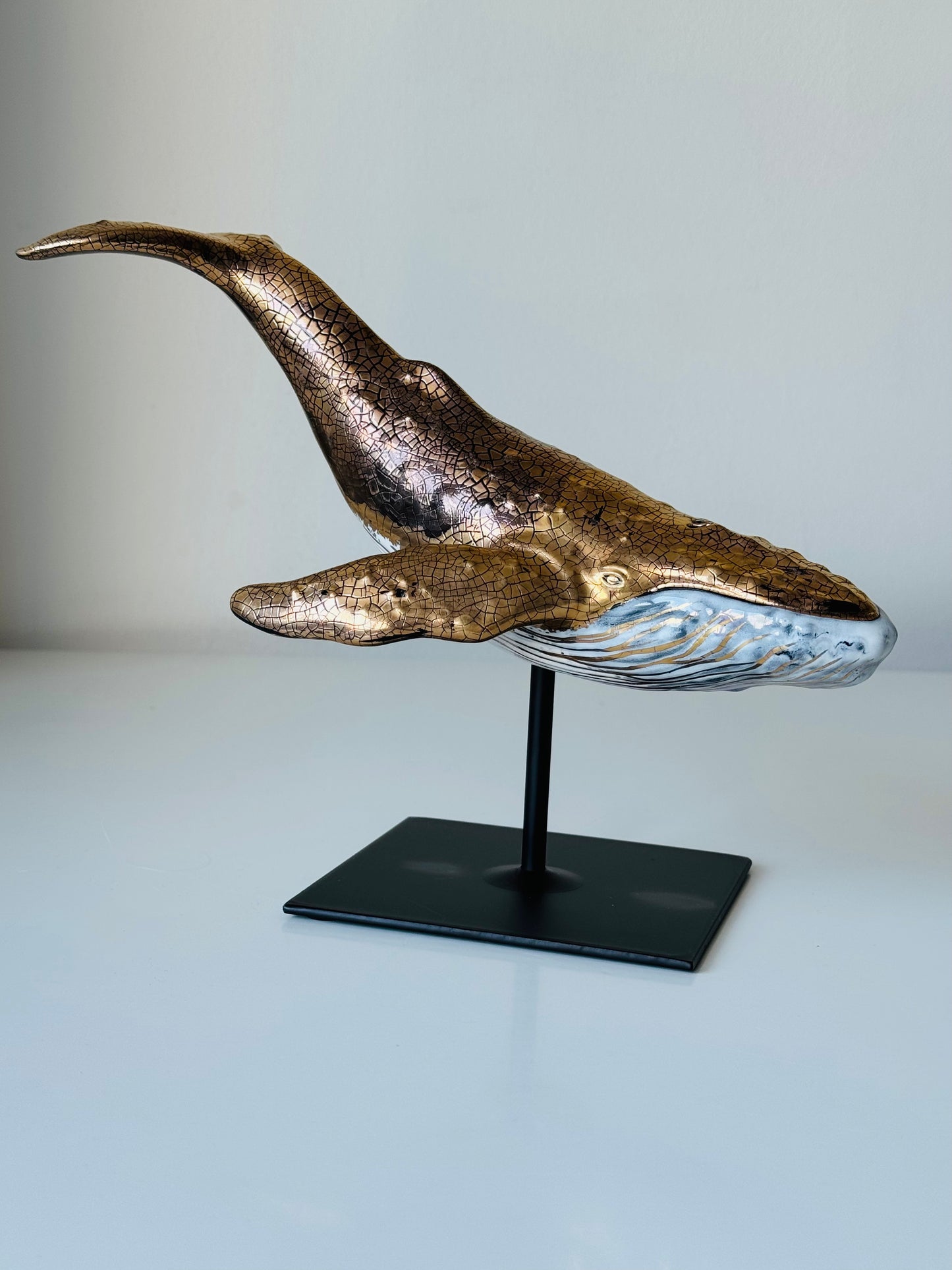 Humpback Whale